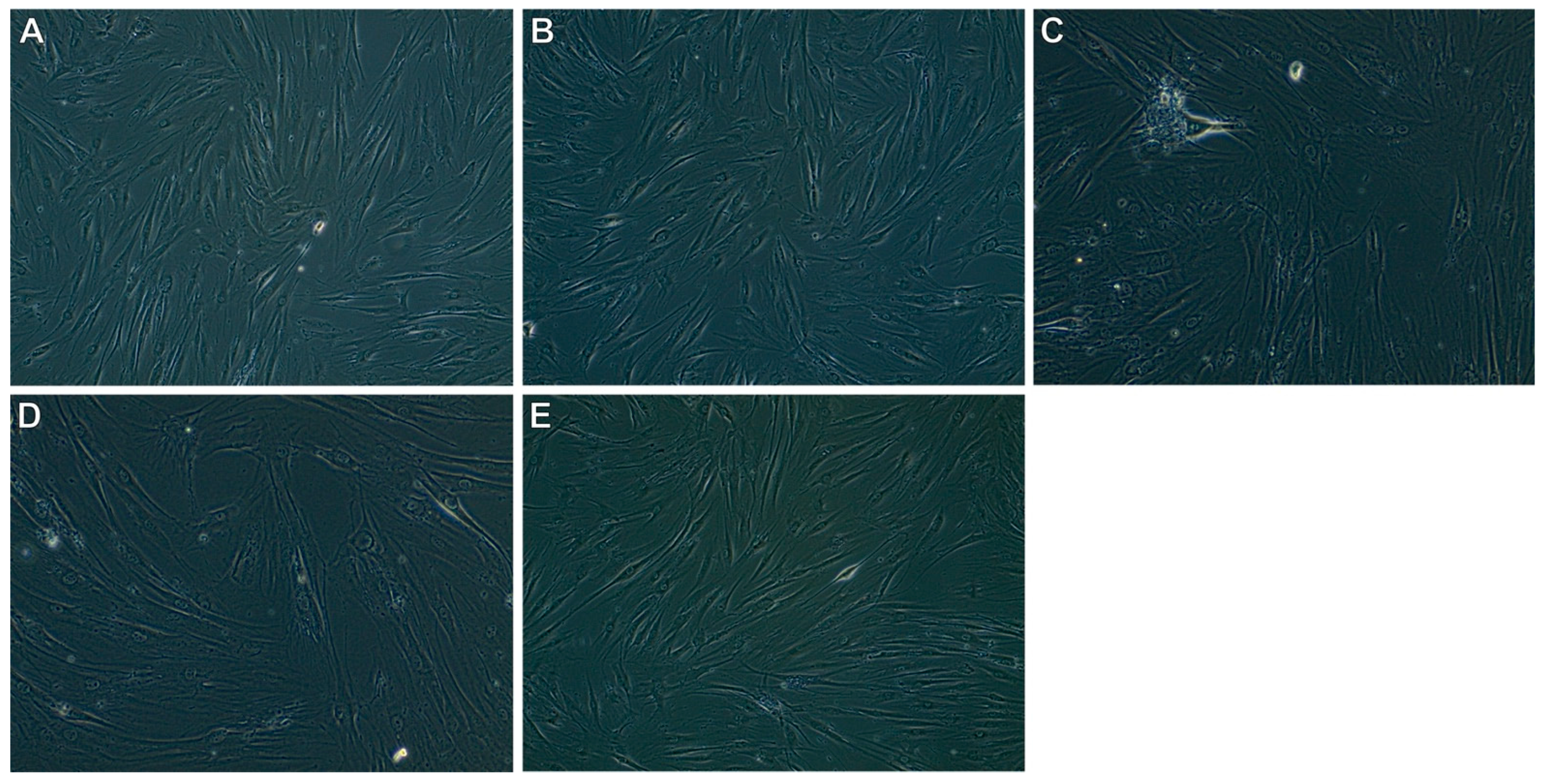 Foods 12 01852 g005 Foods 12 01852 g005