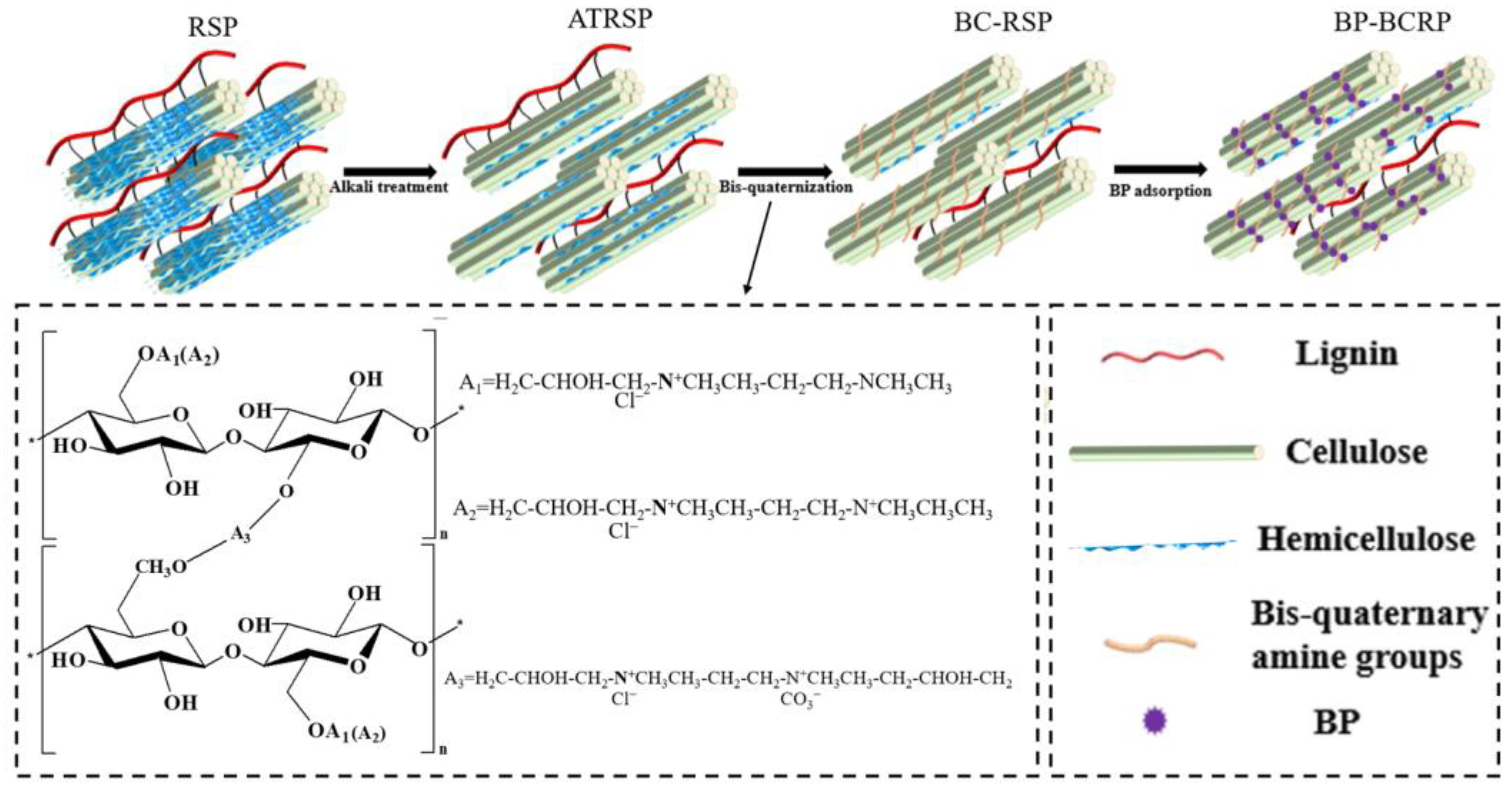 Foods 12 01857 g001 Foods 12 01857 g001