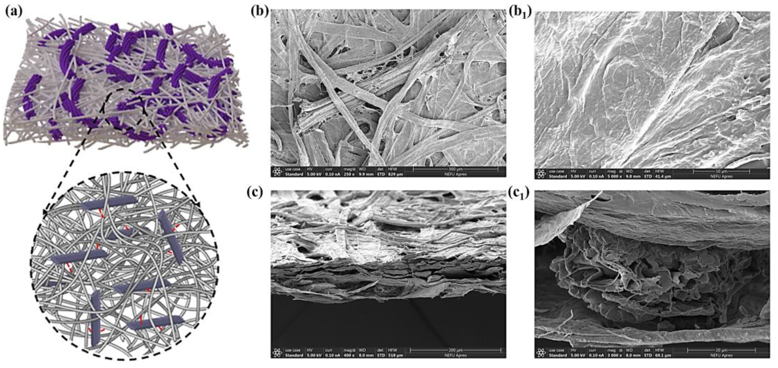 Foods 12 01857 g004 Foods 12 01857 g004