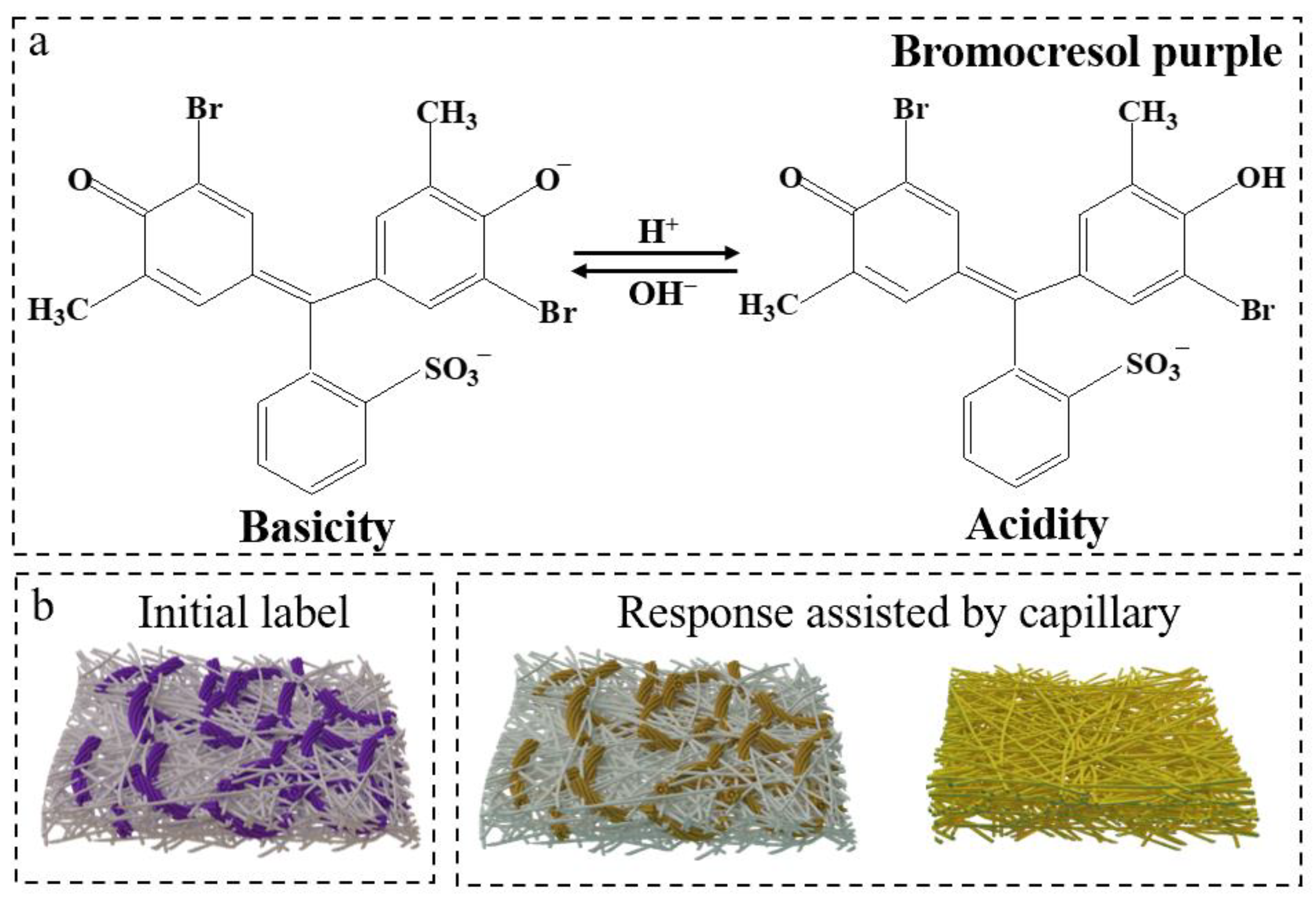Foods 12 01857 g009 Foods 12 01857 g009