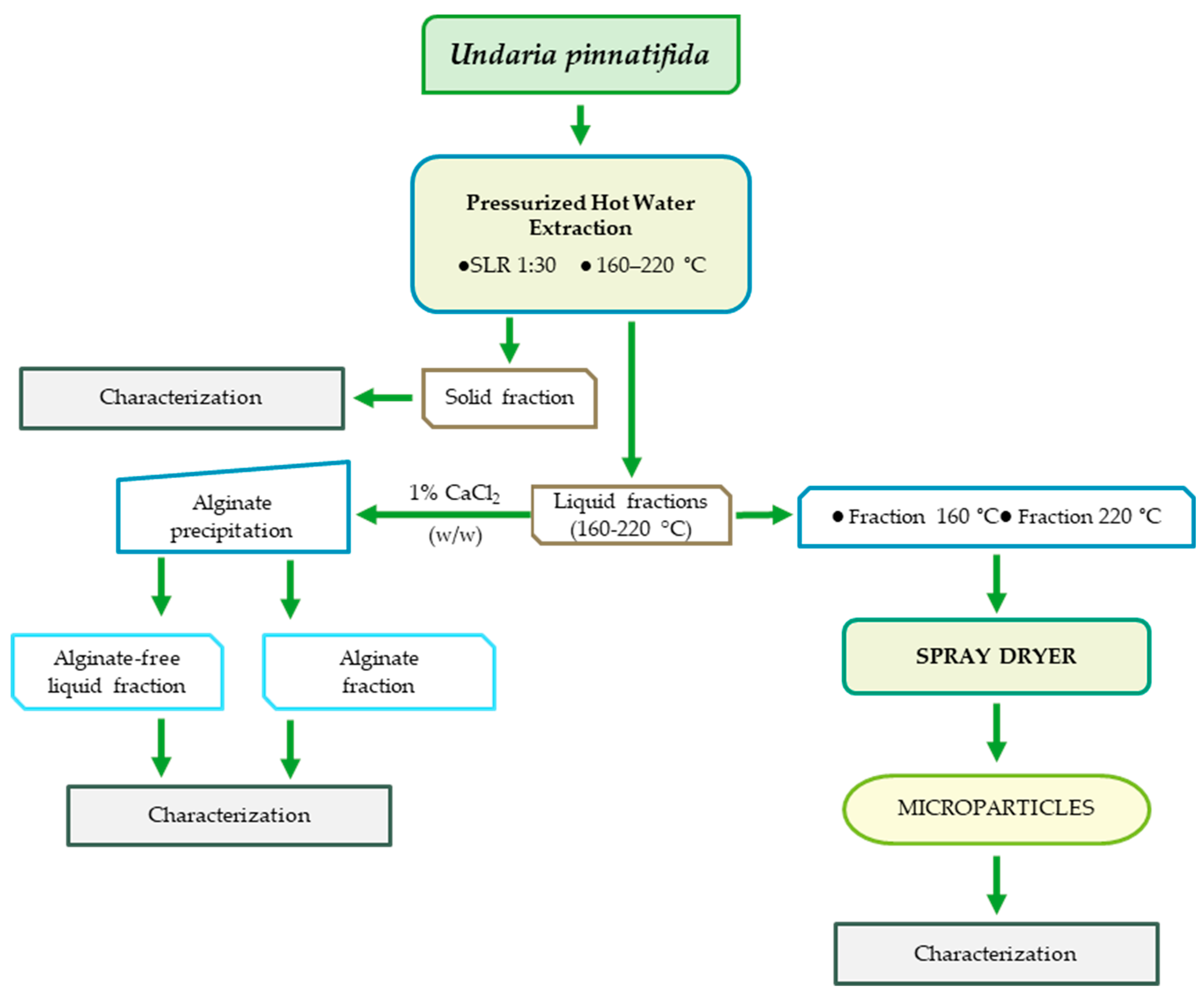 Foods 12 01859 g001 Foods 12 01859 g001