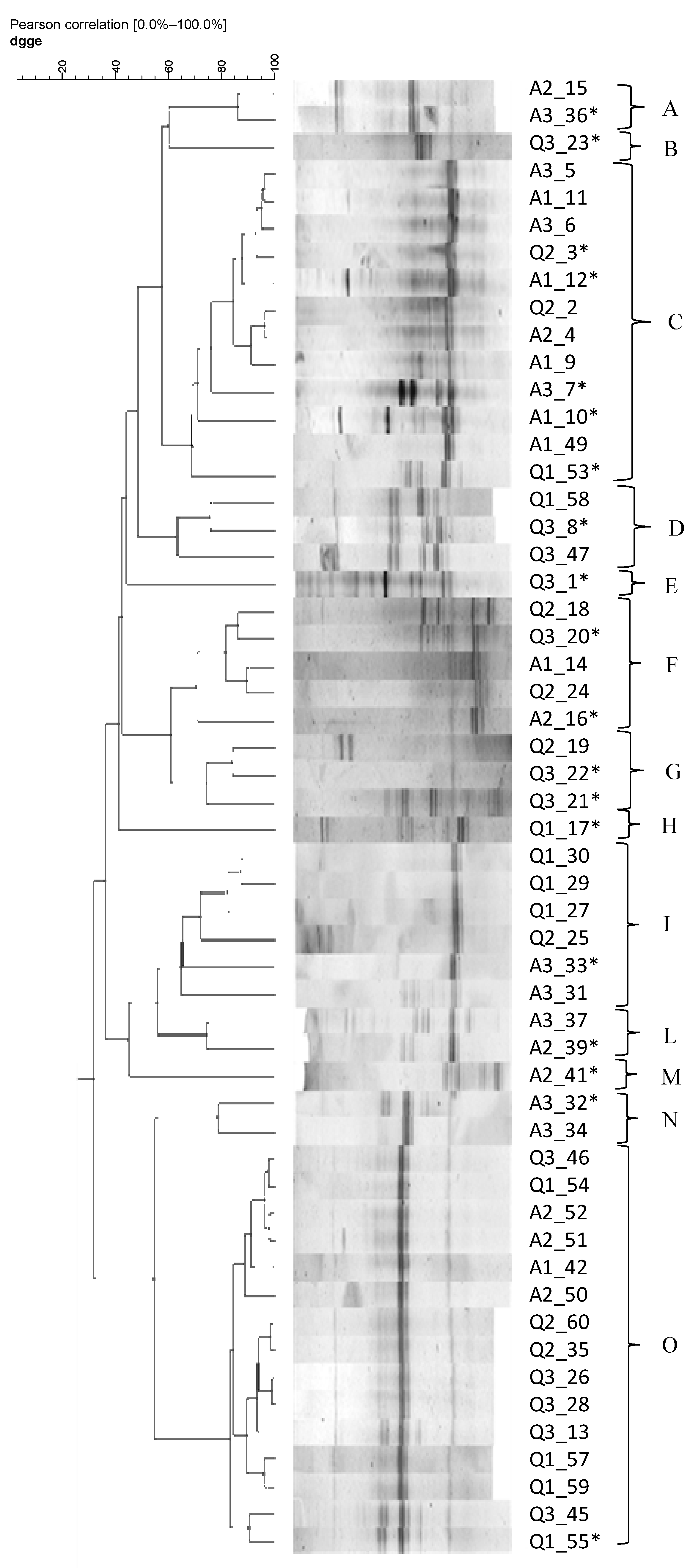 Foods 12 01866 g003 Foods 12 01866 g003