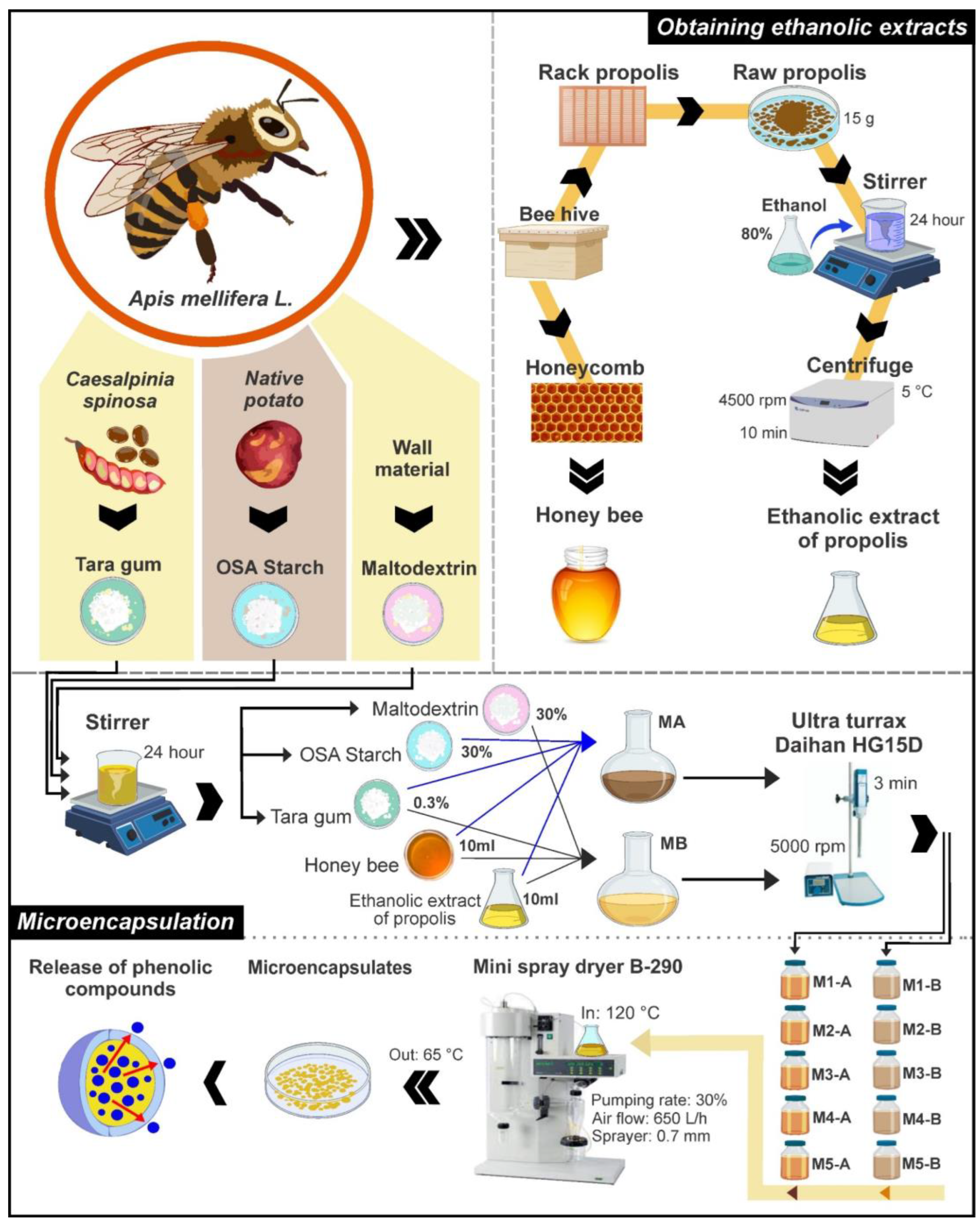 Foods 12 01873 g003 Foods 12 01873 g003
