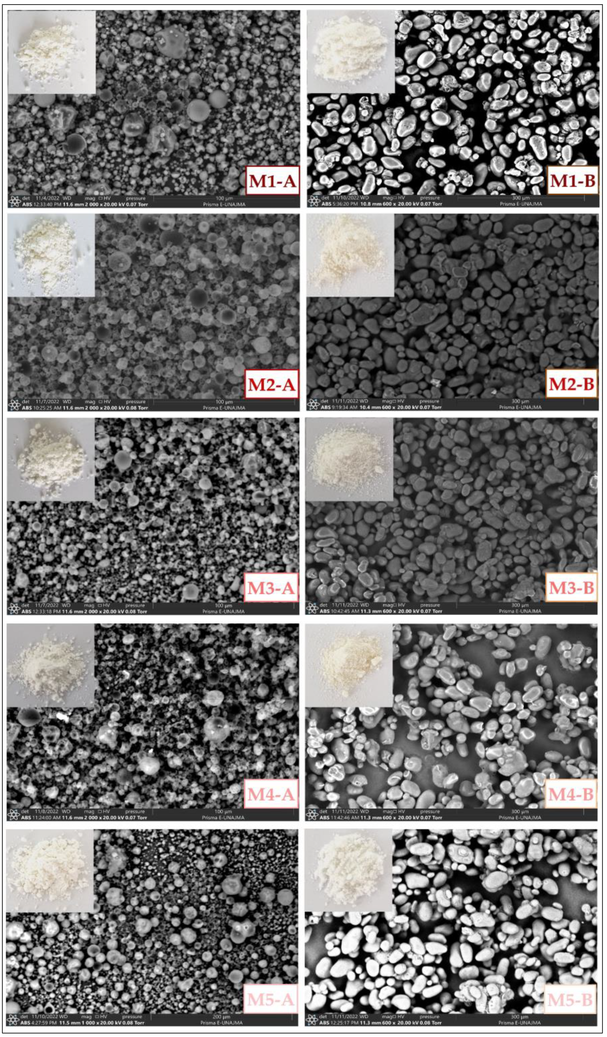 Foods 12 01873 g009 Foods 12 01873 g009