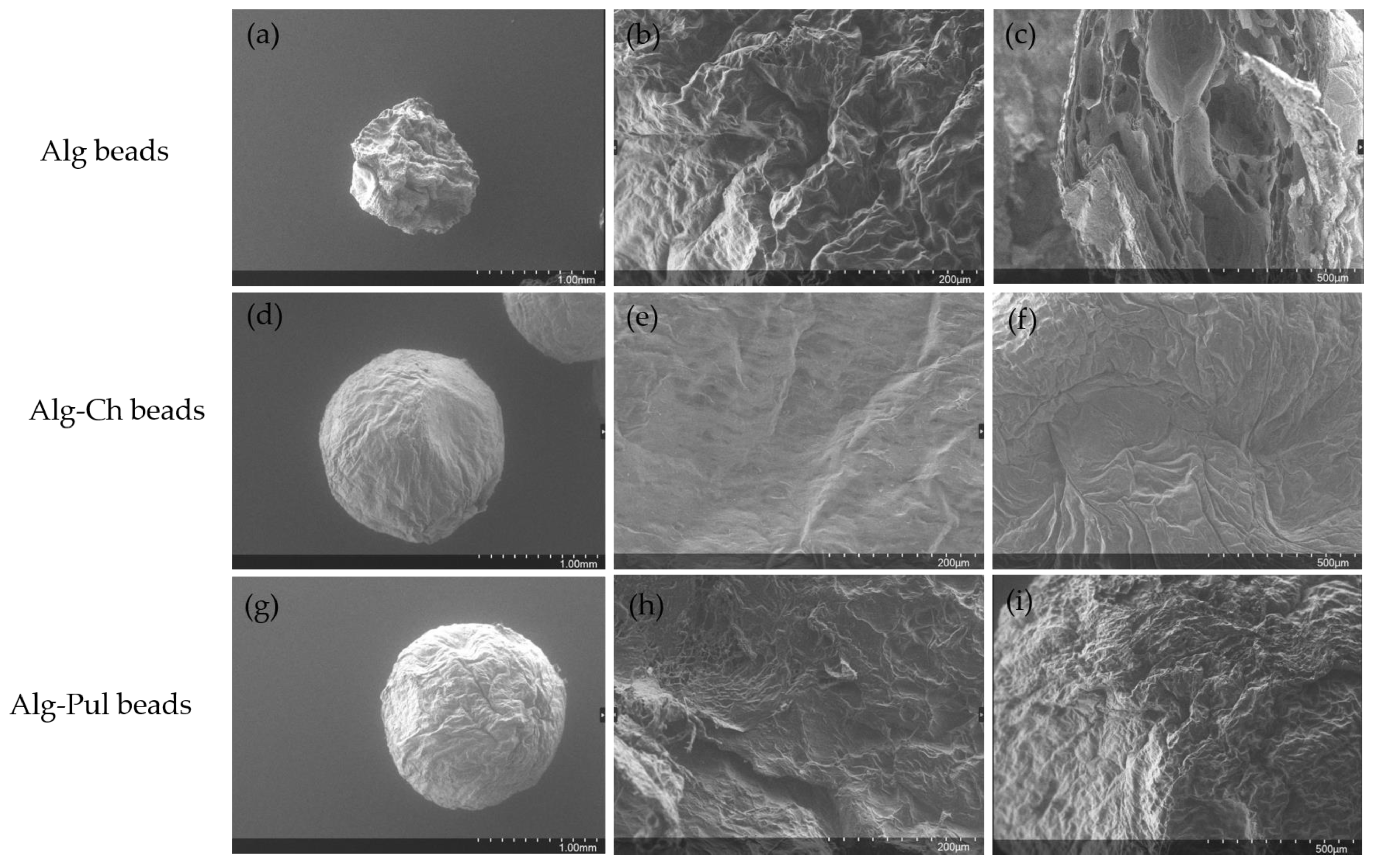 Foods 12 01874 g006 Foods 12 01874 g006