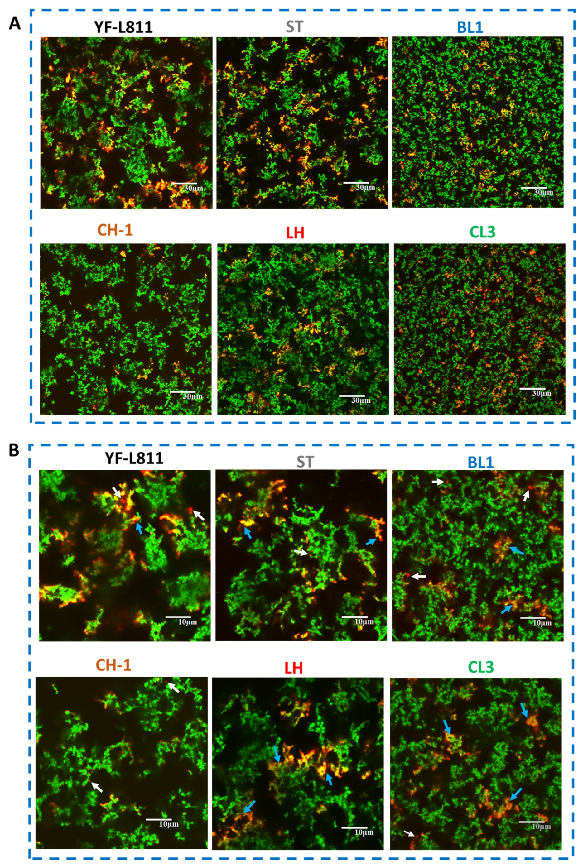 Foods 12 01875 g002 Foods 12 01875 g002