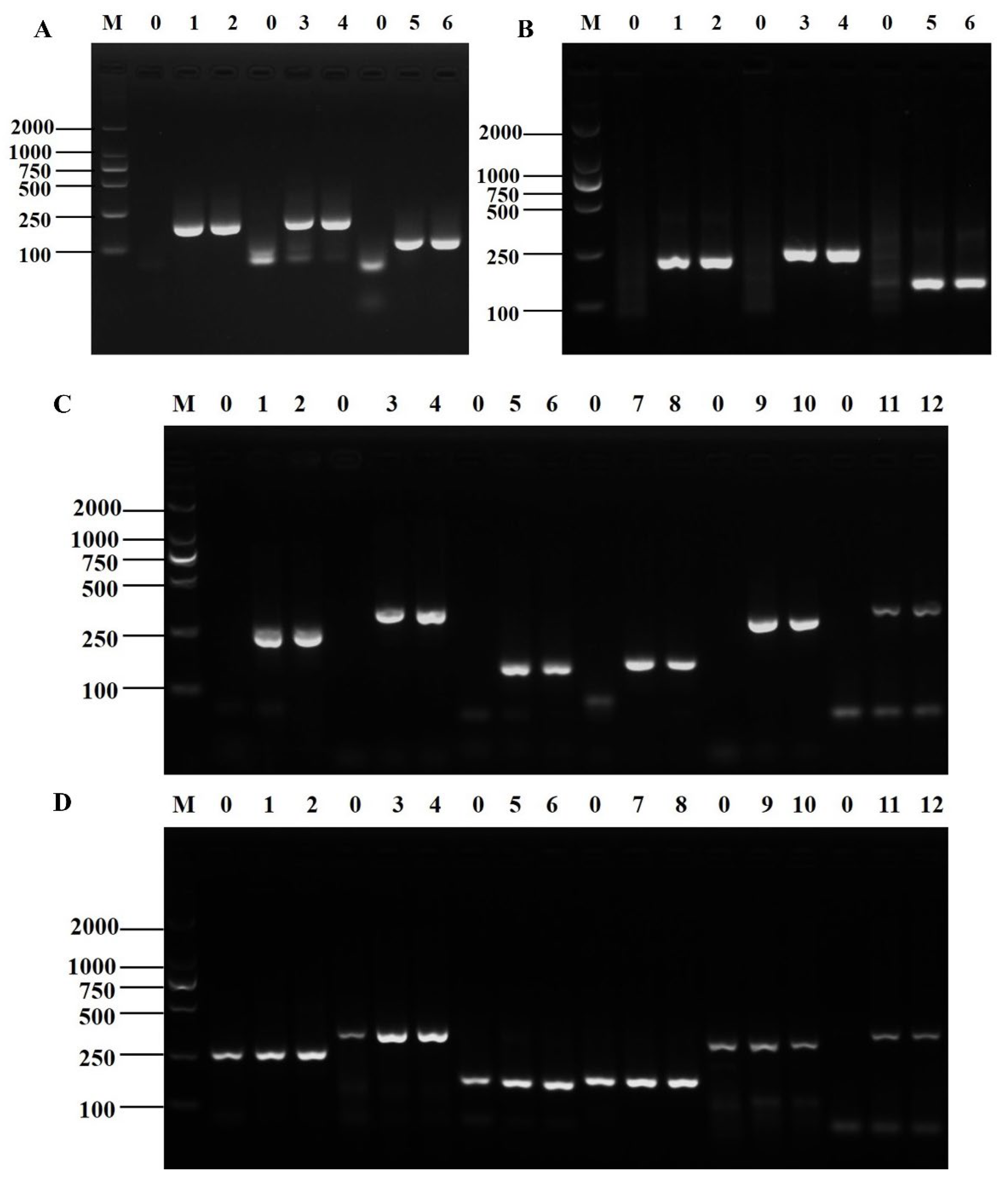 Foods 12 01889 g001 Foods 12 01889 g001