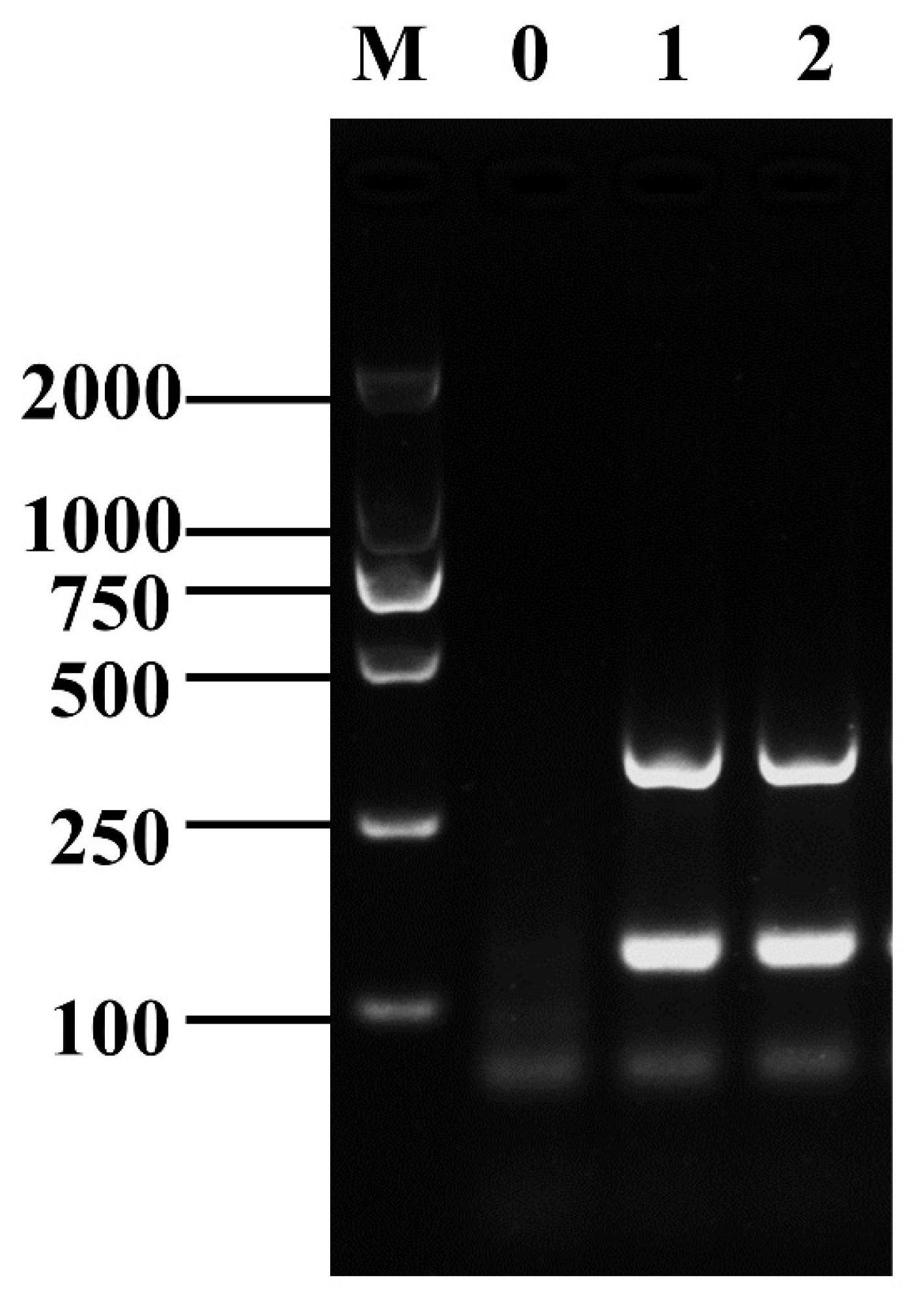 Foods 12 01889 g002 Foods 12 01889 g002