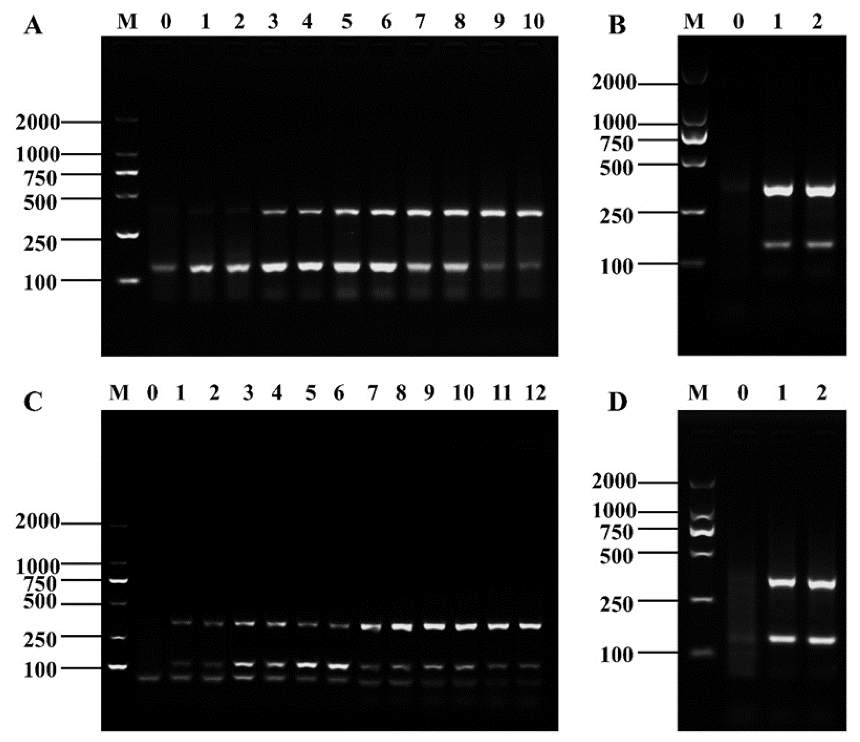 Foods 12 01889 g003 Foods 12 01889 g003