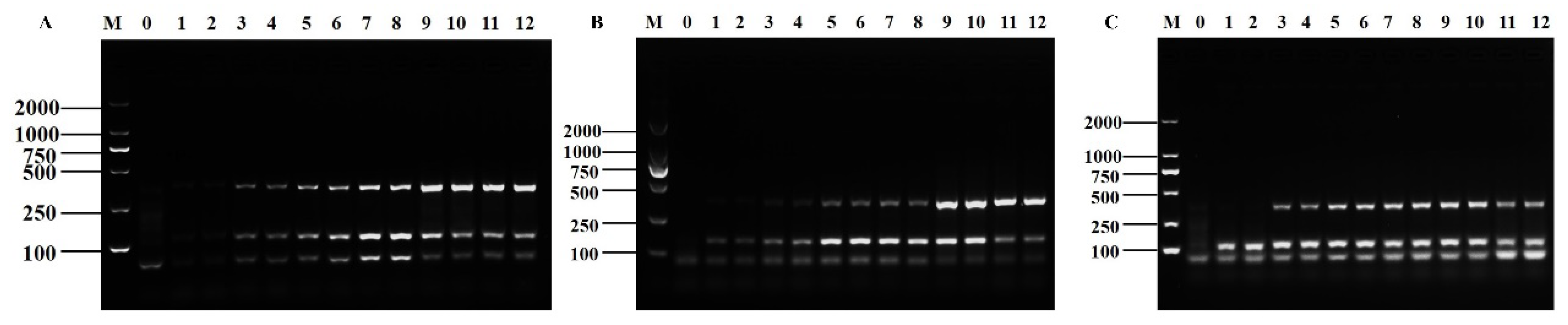 Foods 12 01889 g004 Foods 12 01889 g004