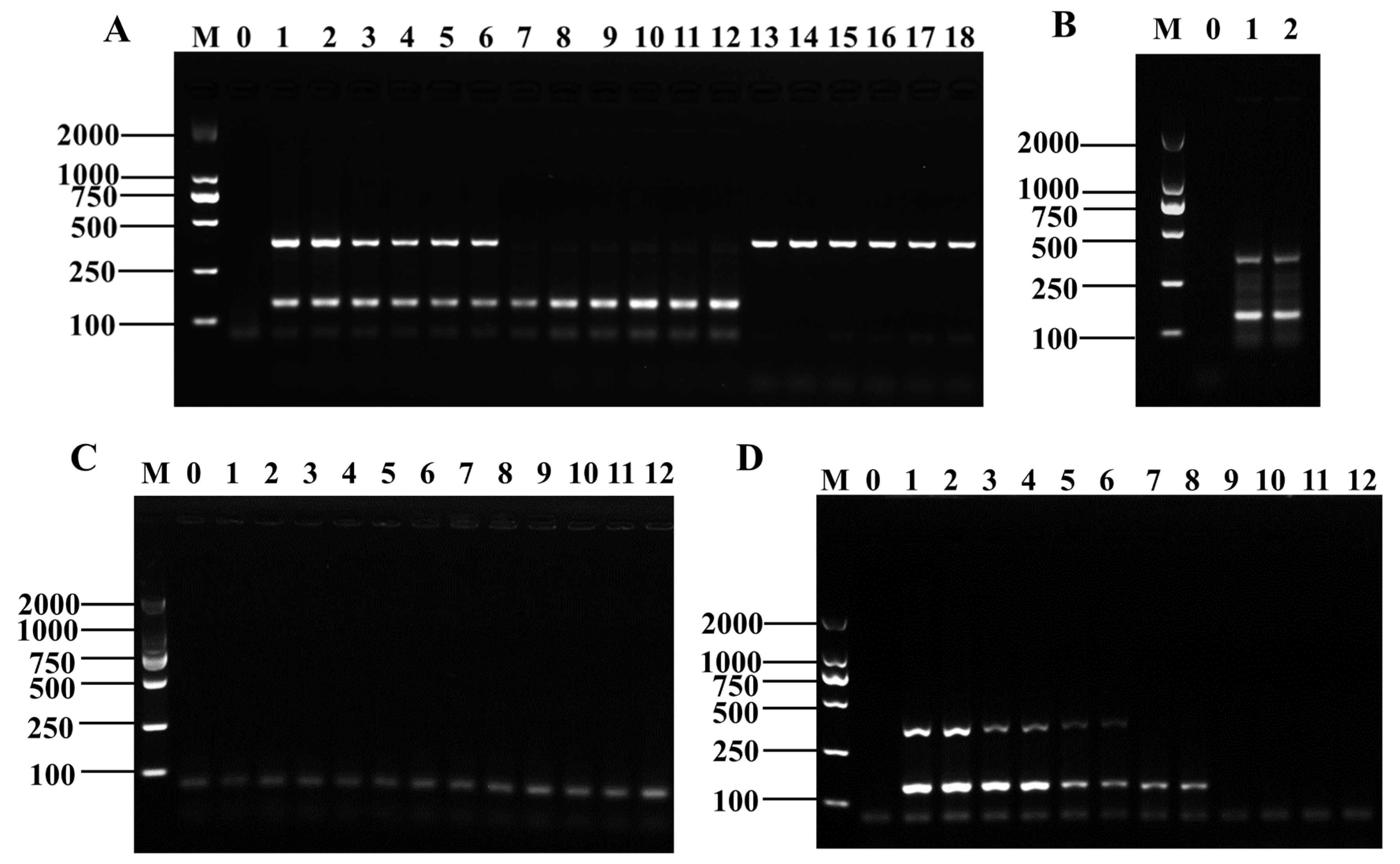 Foods 12 01889 g005 Foods 12 01889 g005