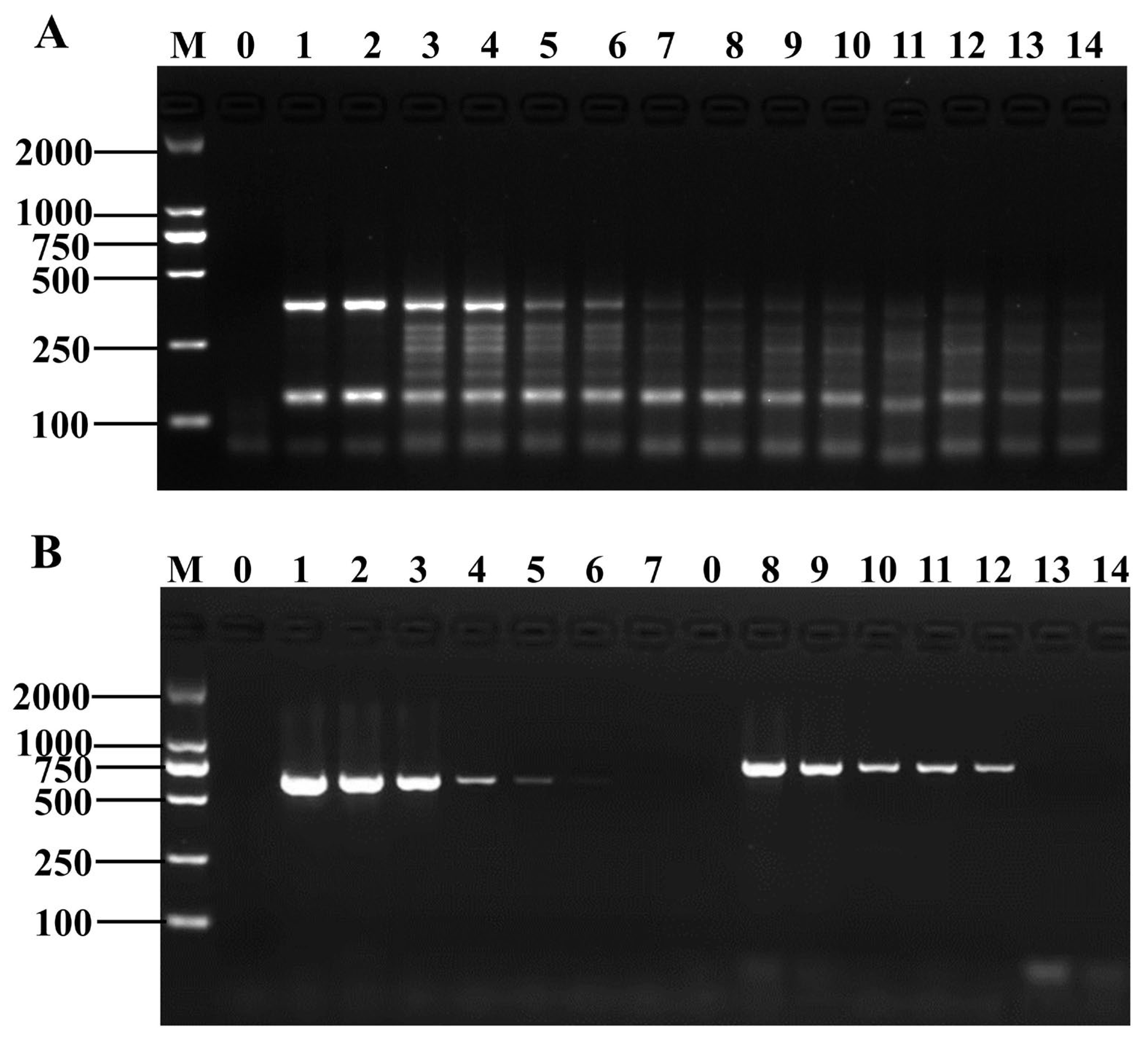 Foods 12 01889 g006 Foods 12 01889 g006