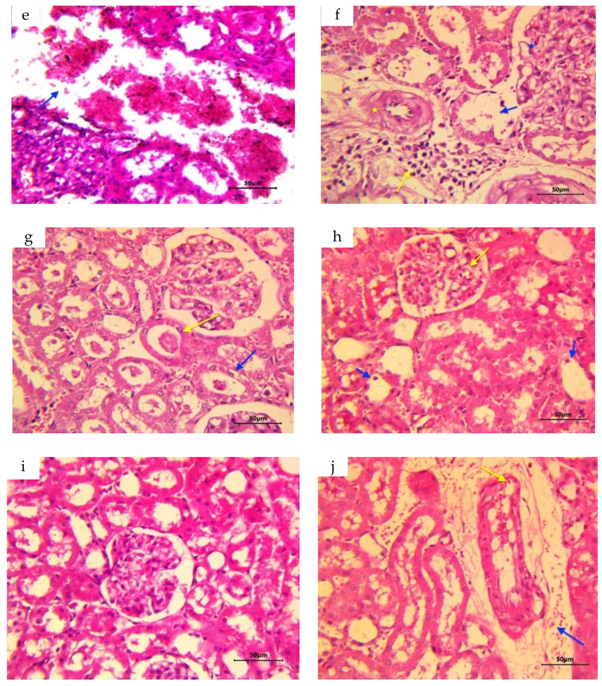Foods 12 01899 g004b Foods 12 01899 g004b