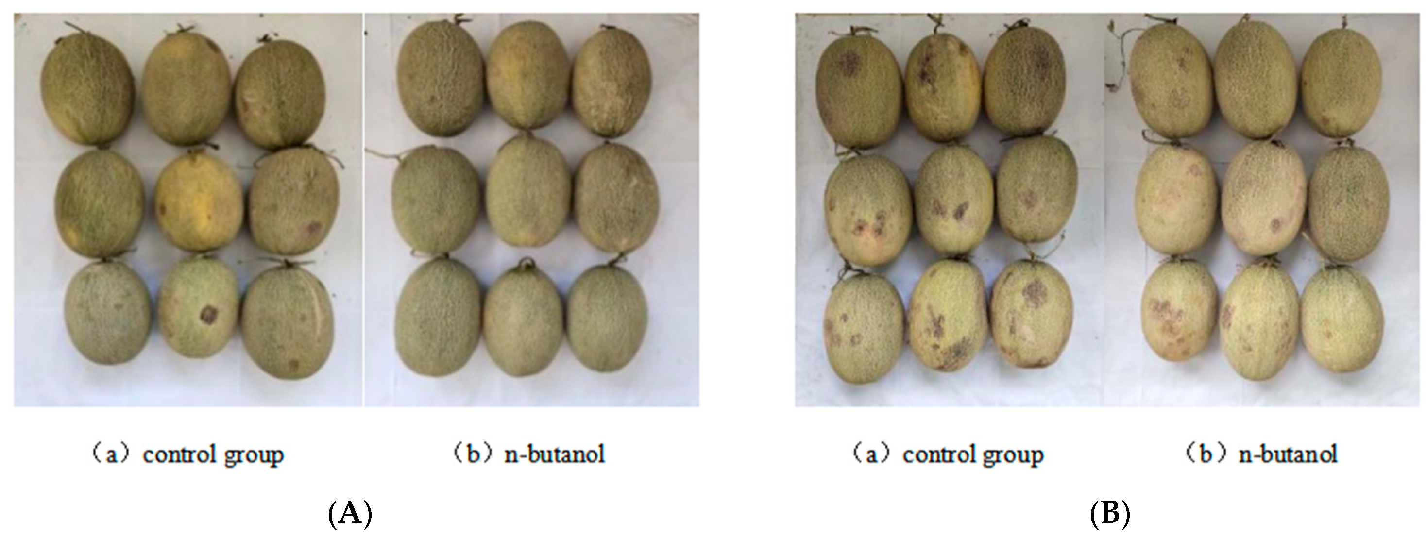 Foods 12 01904 g002 Foods 12 01904 g002