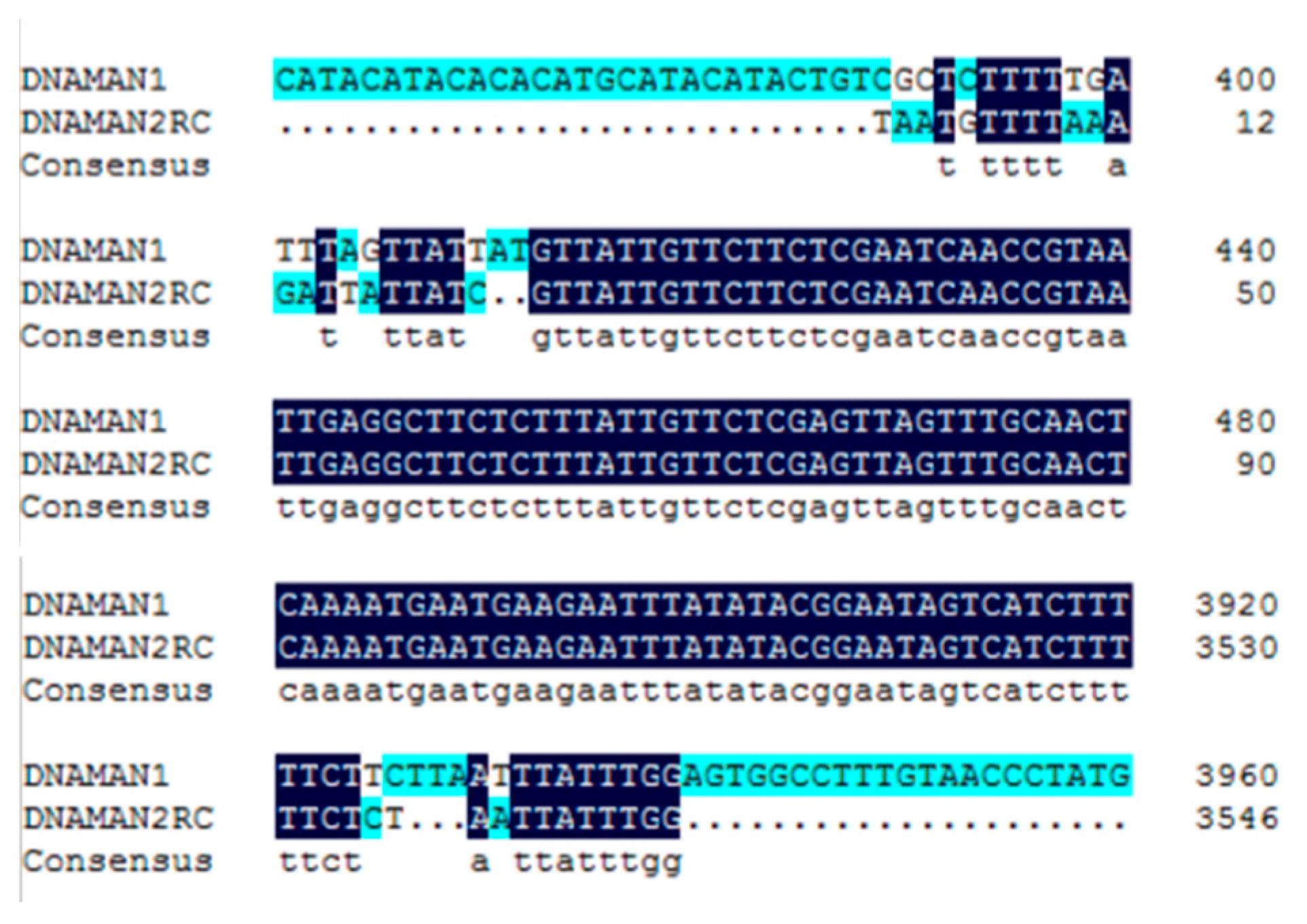Foods 12 01904 g011 Foods 12 01904 g011