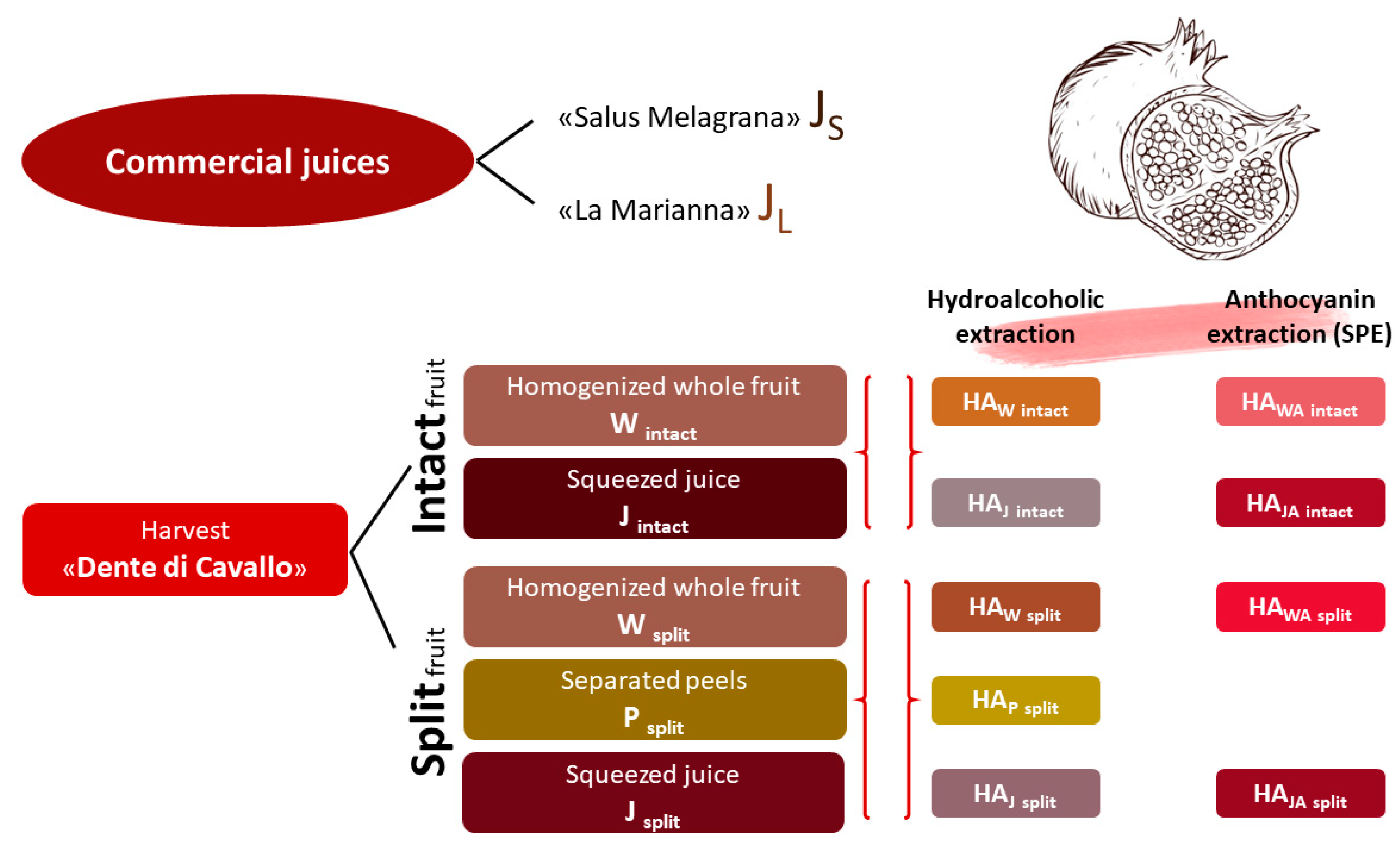 Foods 12 01908 g001 Foods 12 01908 g001