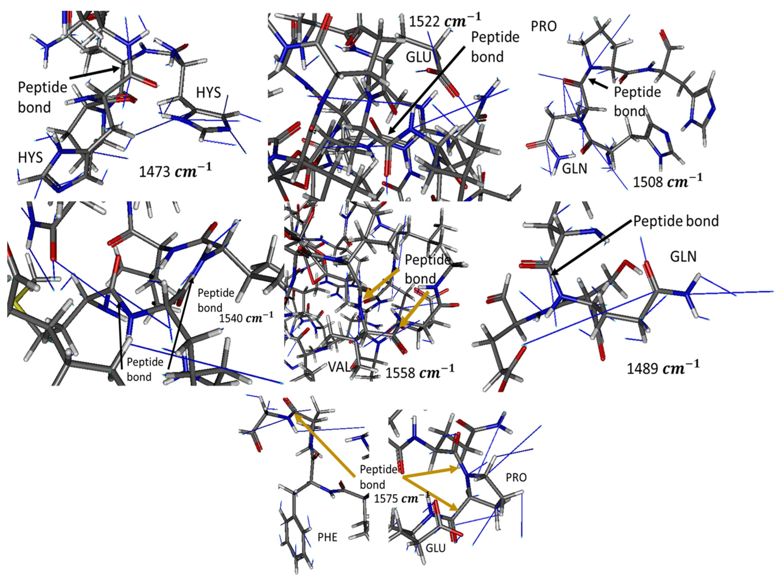 Foods 12 01919 g006 Foods 12 01919 g006