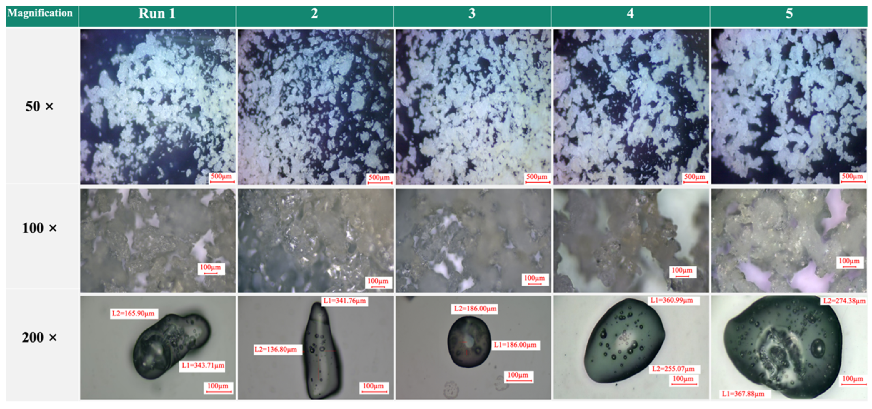 Foods 12 01921 g001a Foods 12 01921 g001a