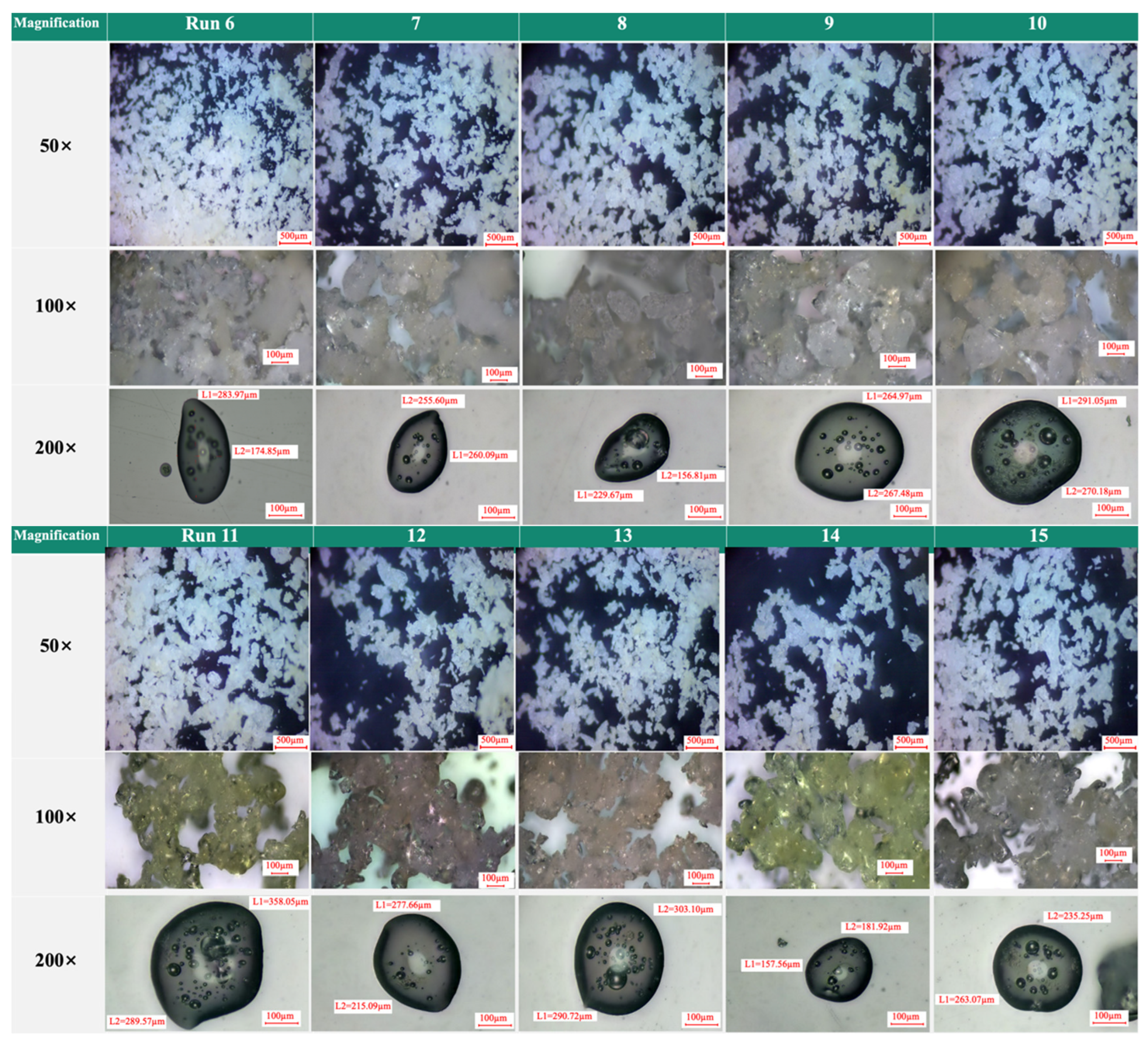 Foods 12 01921 g001b Foods 12 01921 g001b