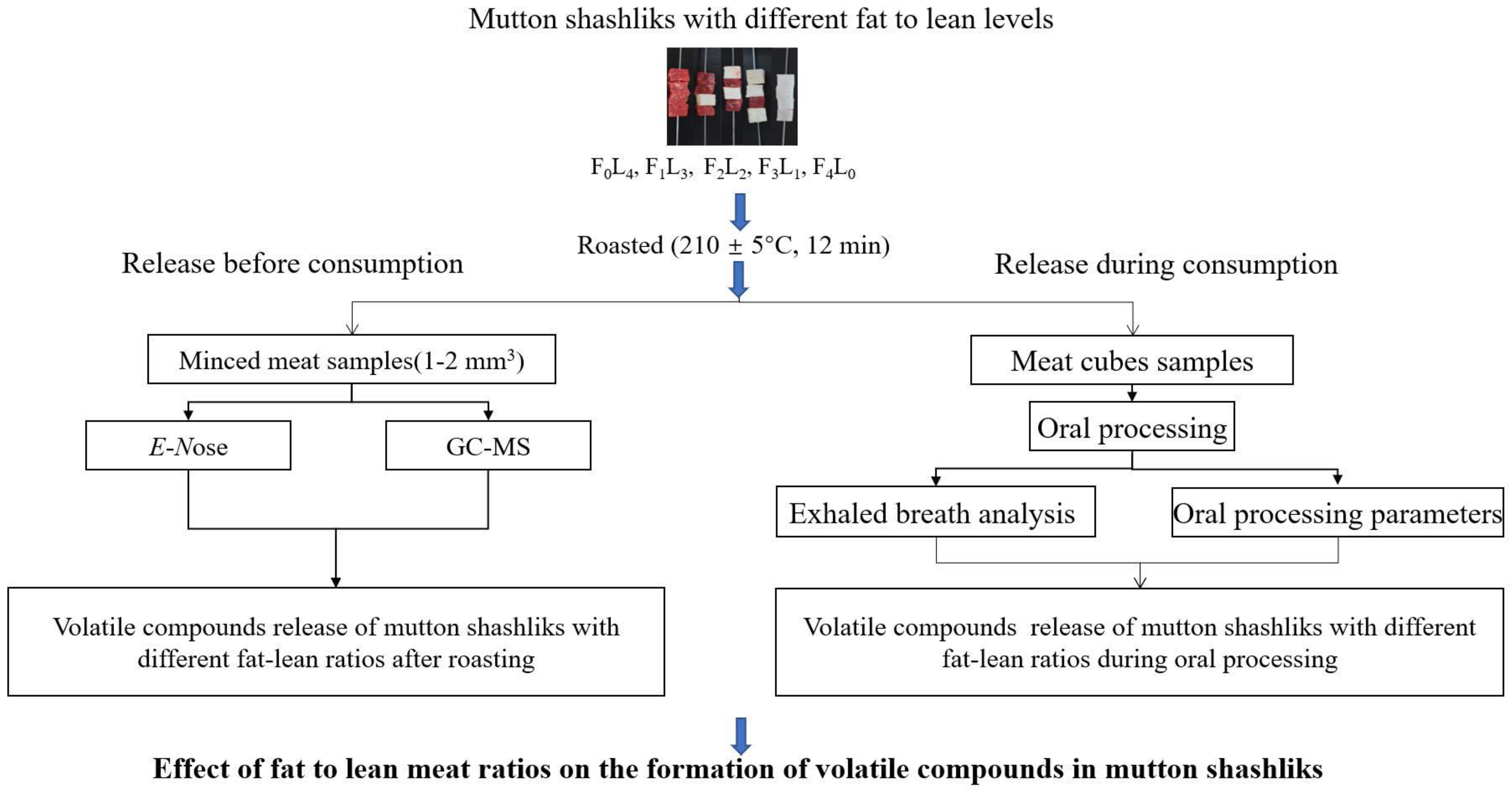 Foods 12 01929 g001 Foods 12 01929 g001