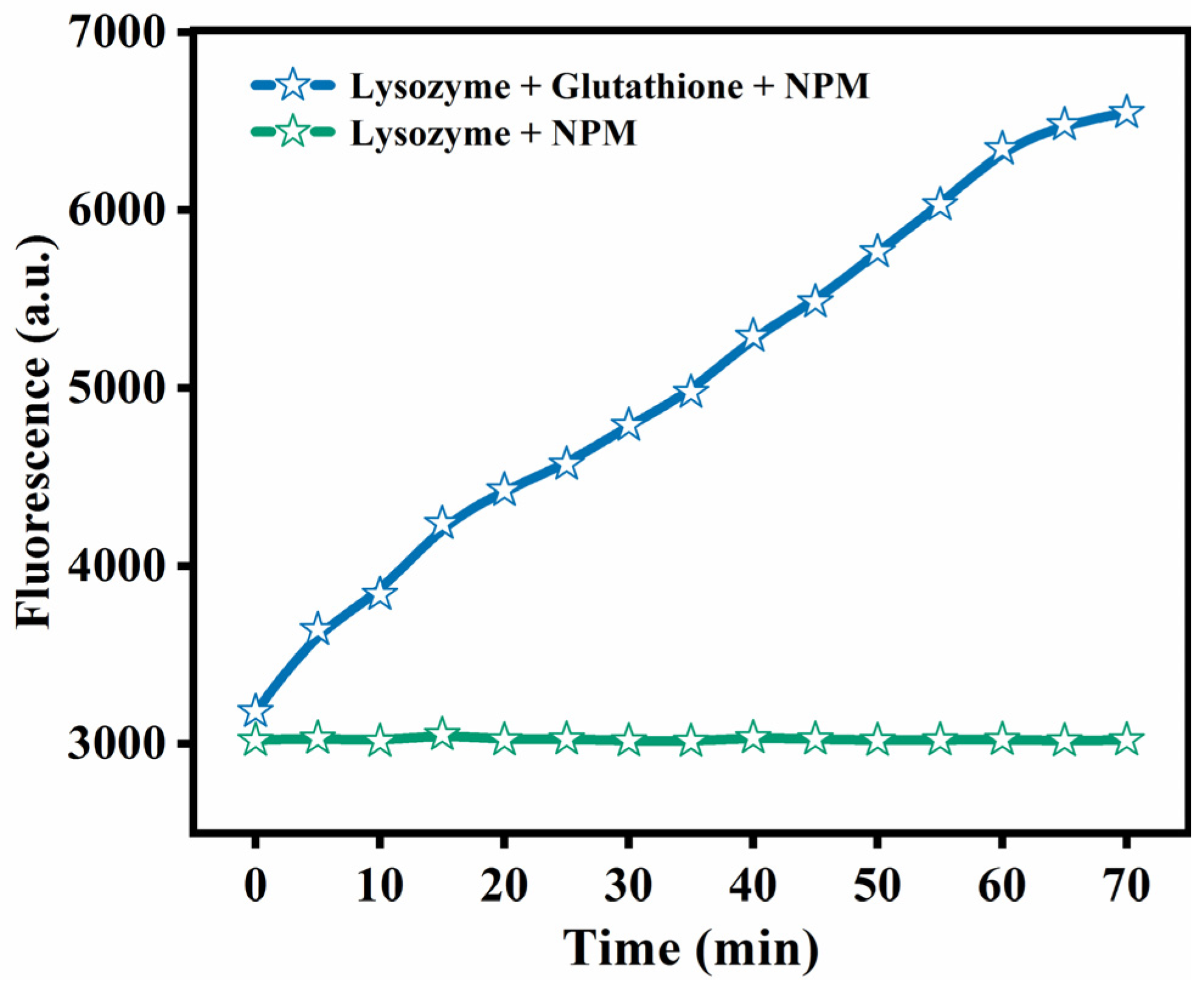 Foods 12 01931 g001 Foods 12 01931 g001