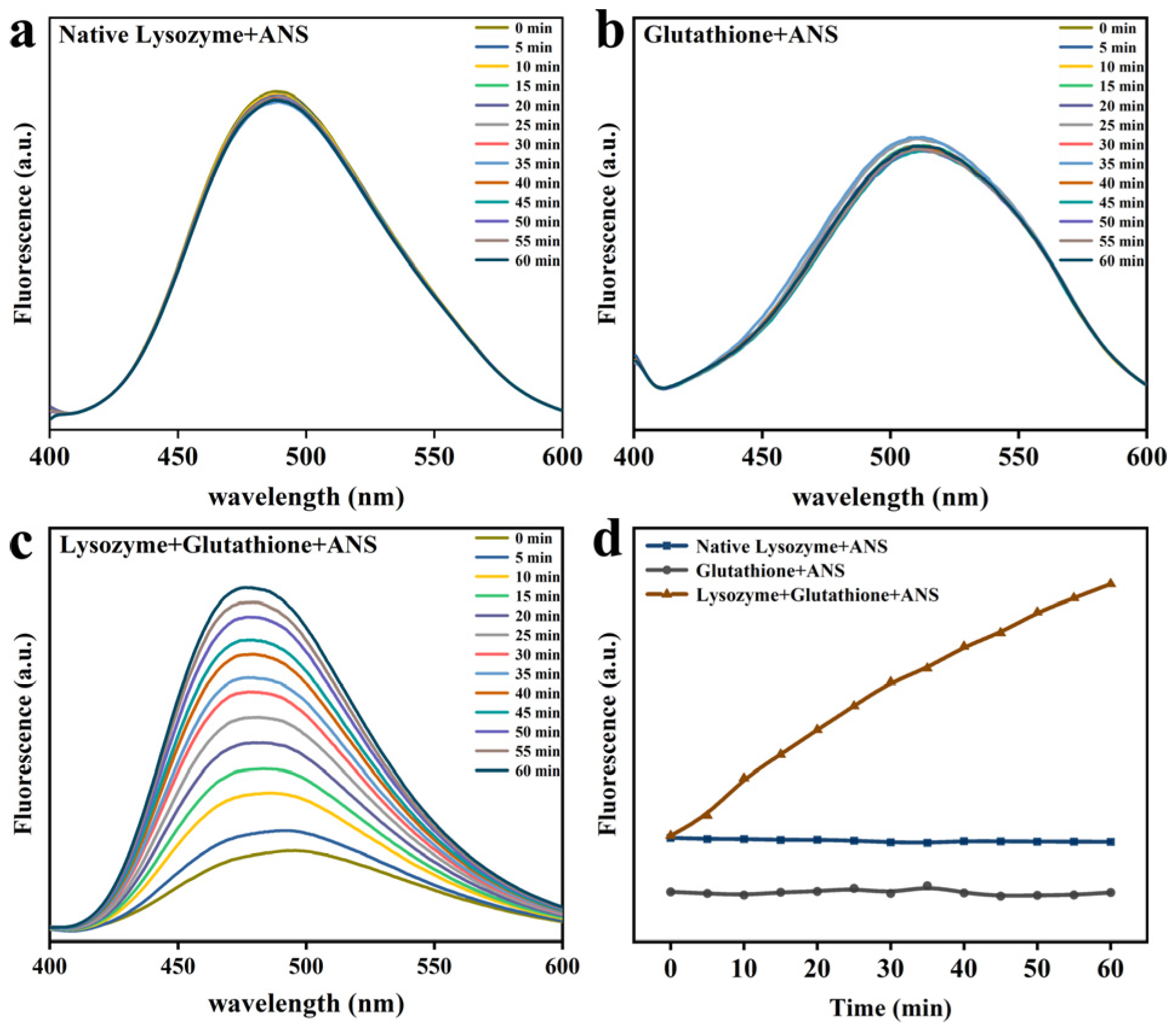 Foods 12 01931 g002 Foods 12 01931 g002