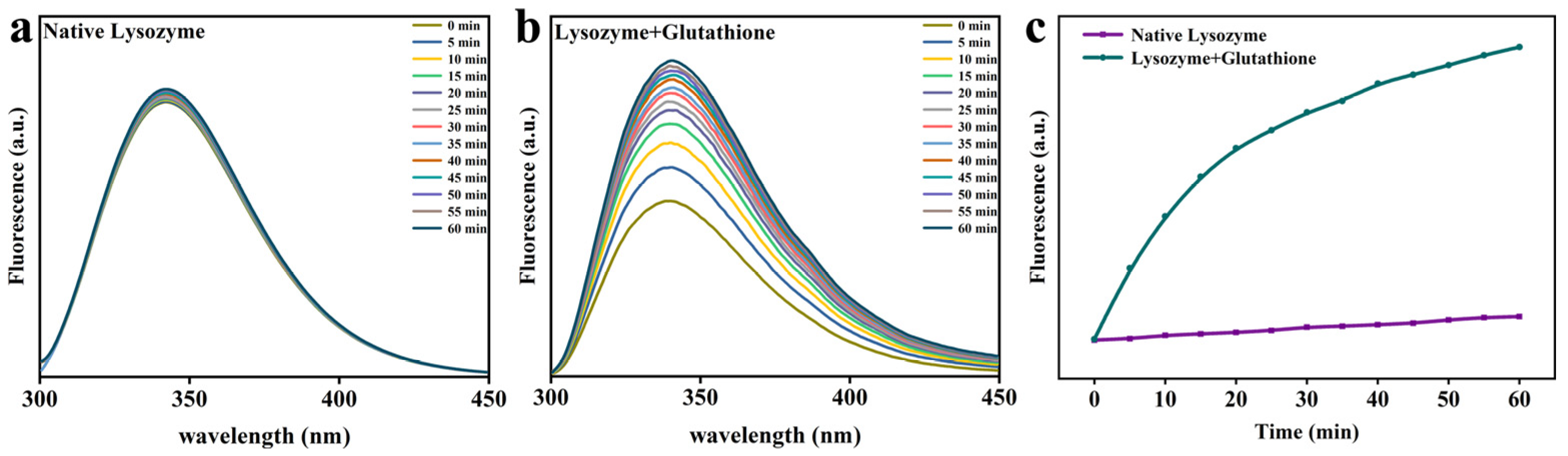 Foods 12 01931 g005 Foods 12 01931 g005