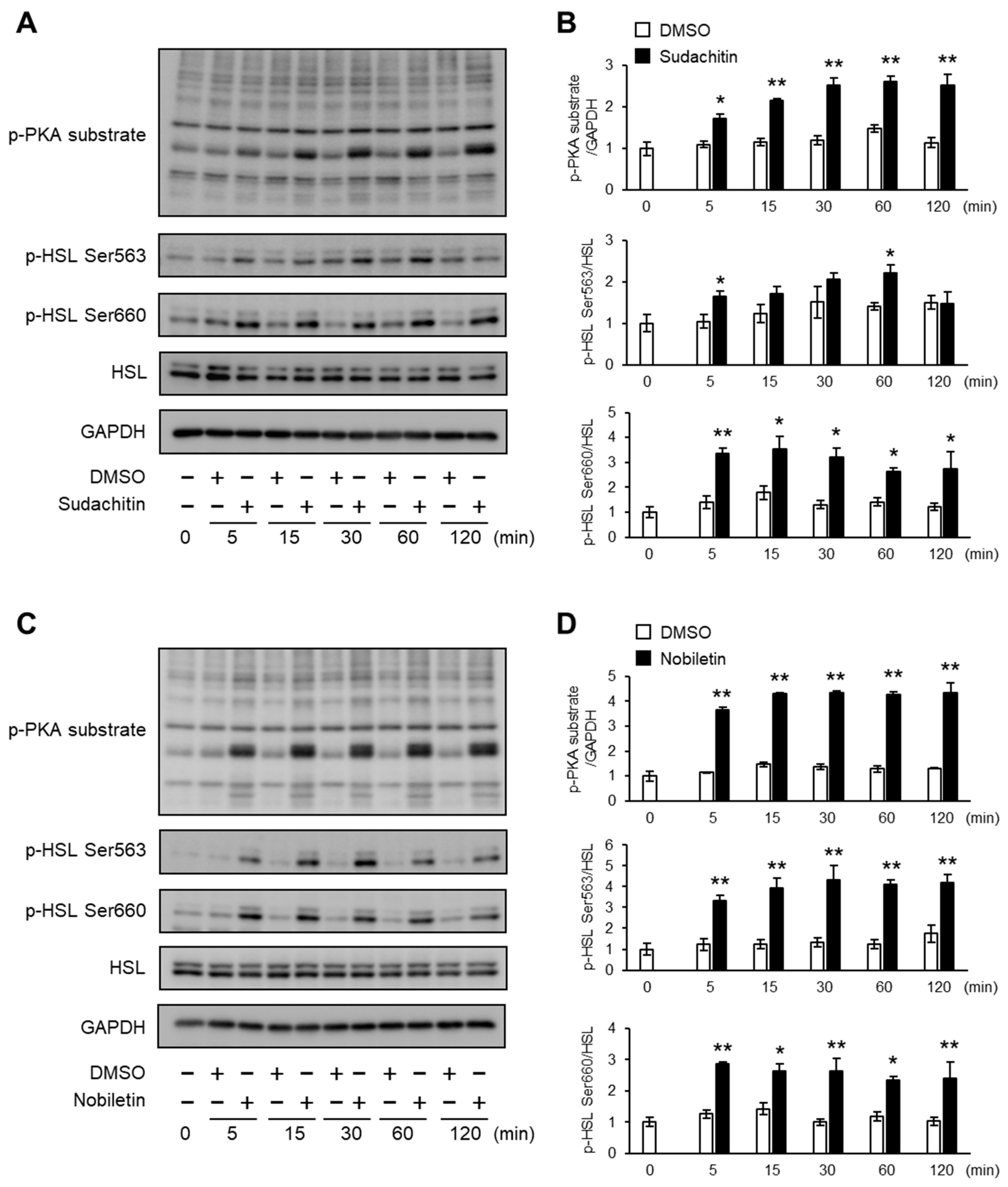 Foods 12 01947 g003 Foods 12 01947 g003
