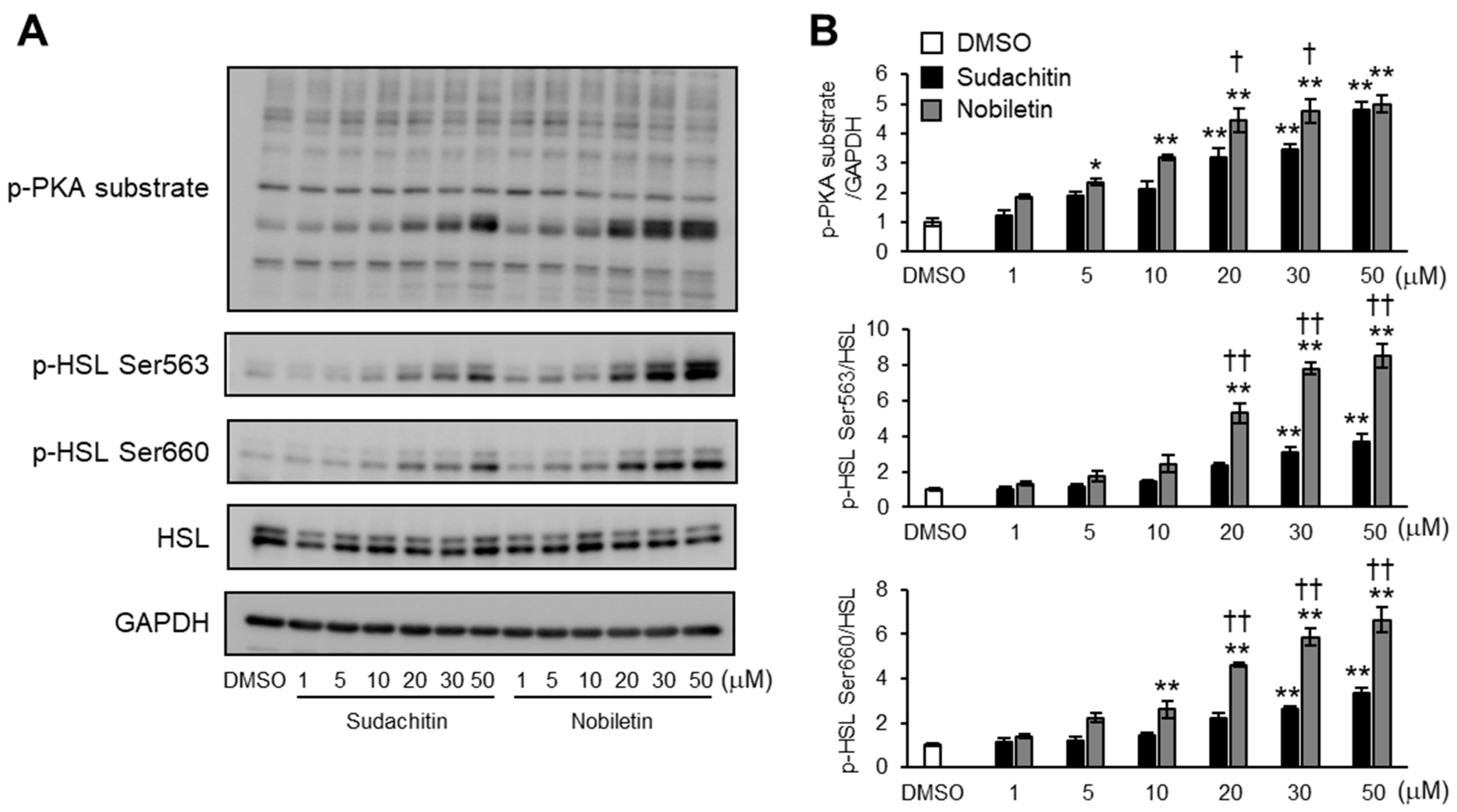 Foods 12 01947 g004 Foods 12 01947 g004