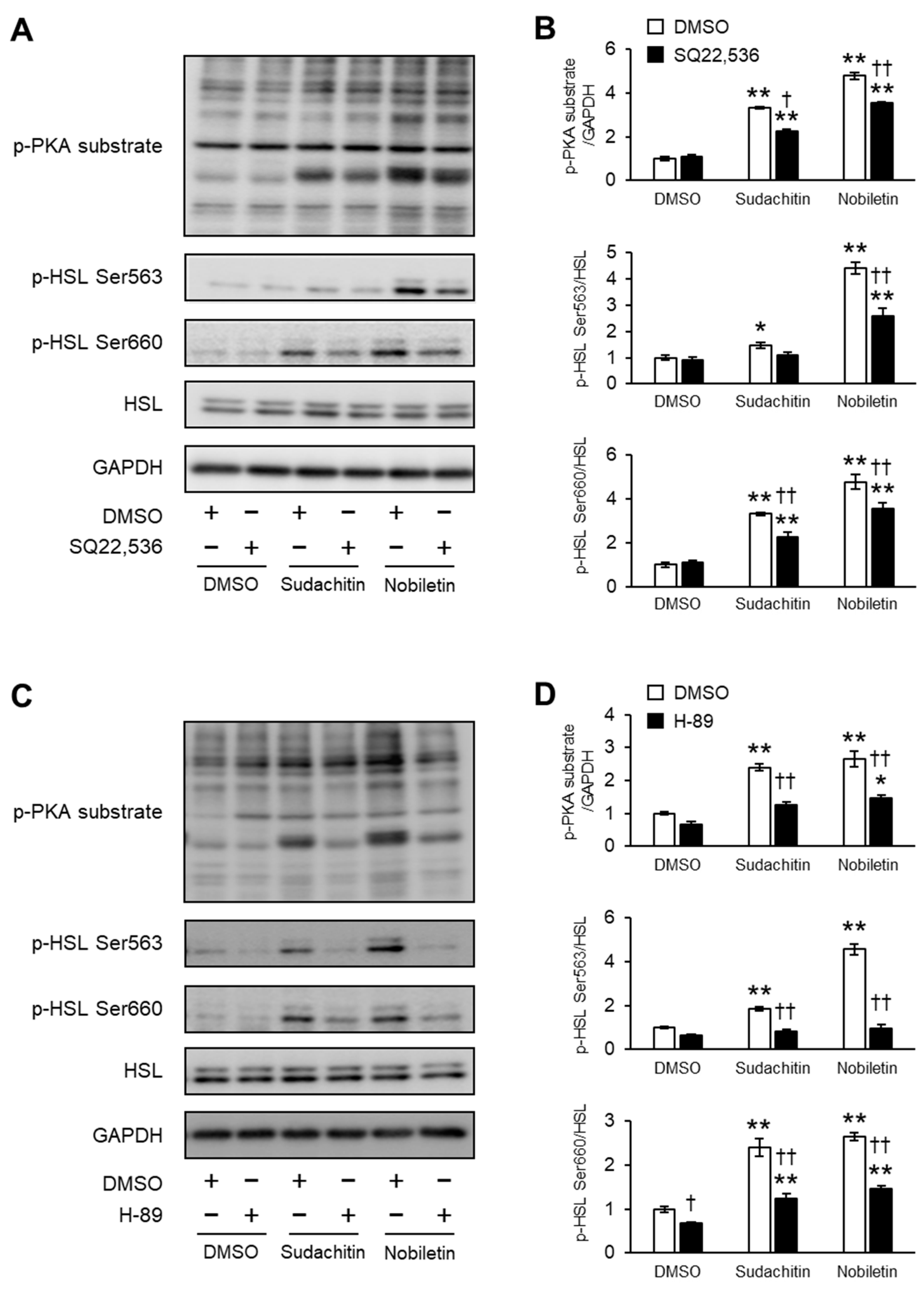 Foods 12 01947 g006 Foods 12 01947 g006