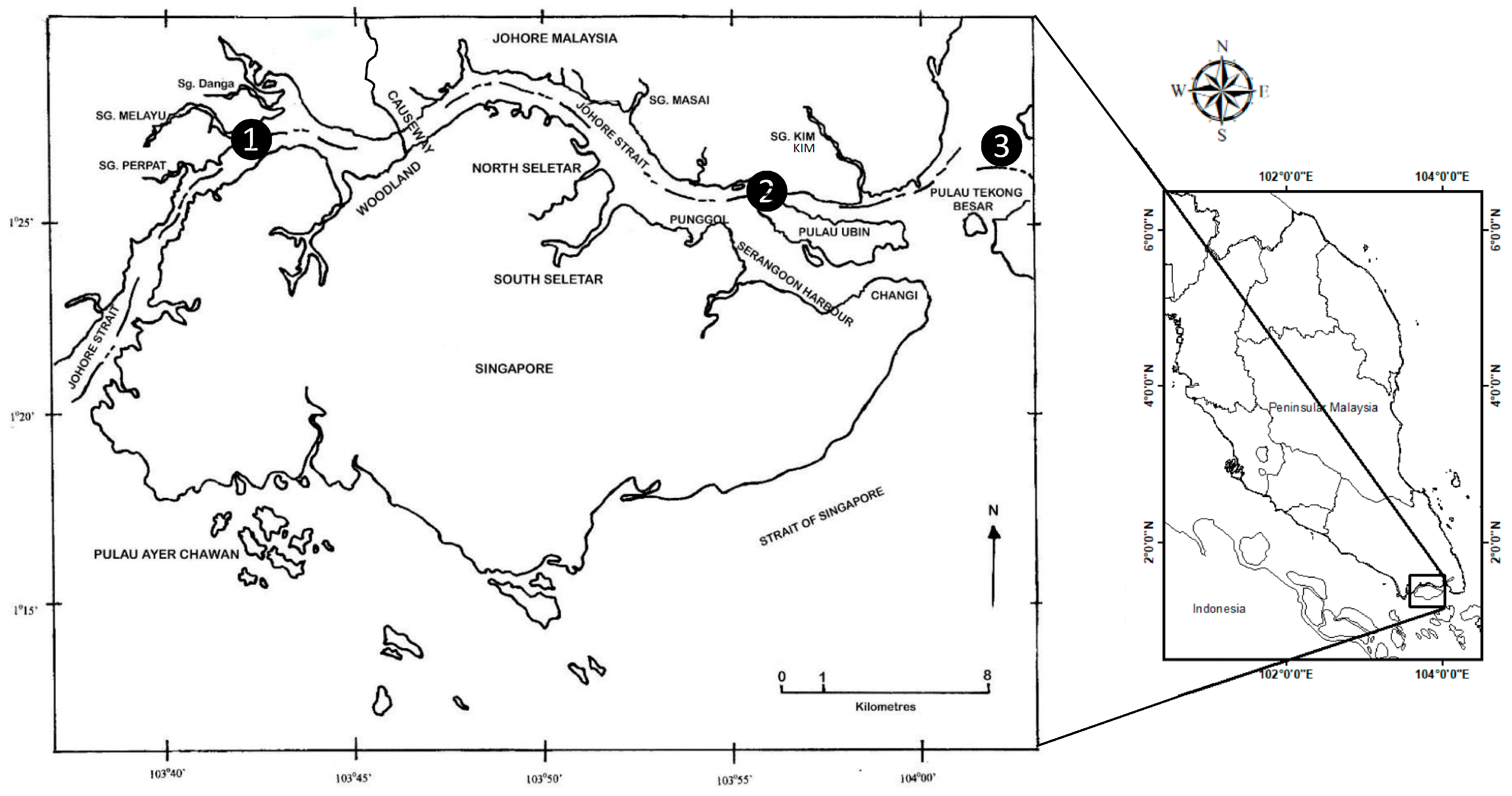 Foods 12 01964 g001 Foods 12 01964 g001