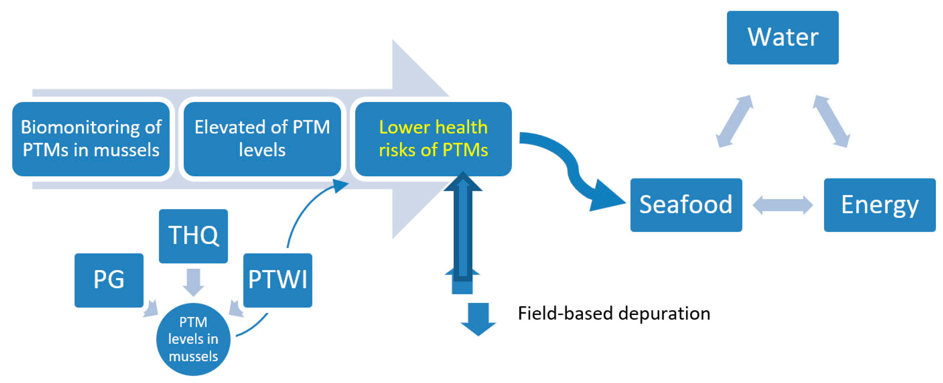 Foods 12 01964 g003 Foods 12 01964 g003