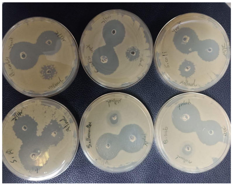 Foods 12 01971 g001 Foods 12 01971 g001