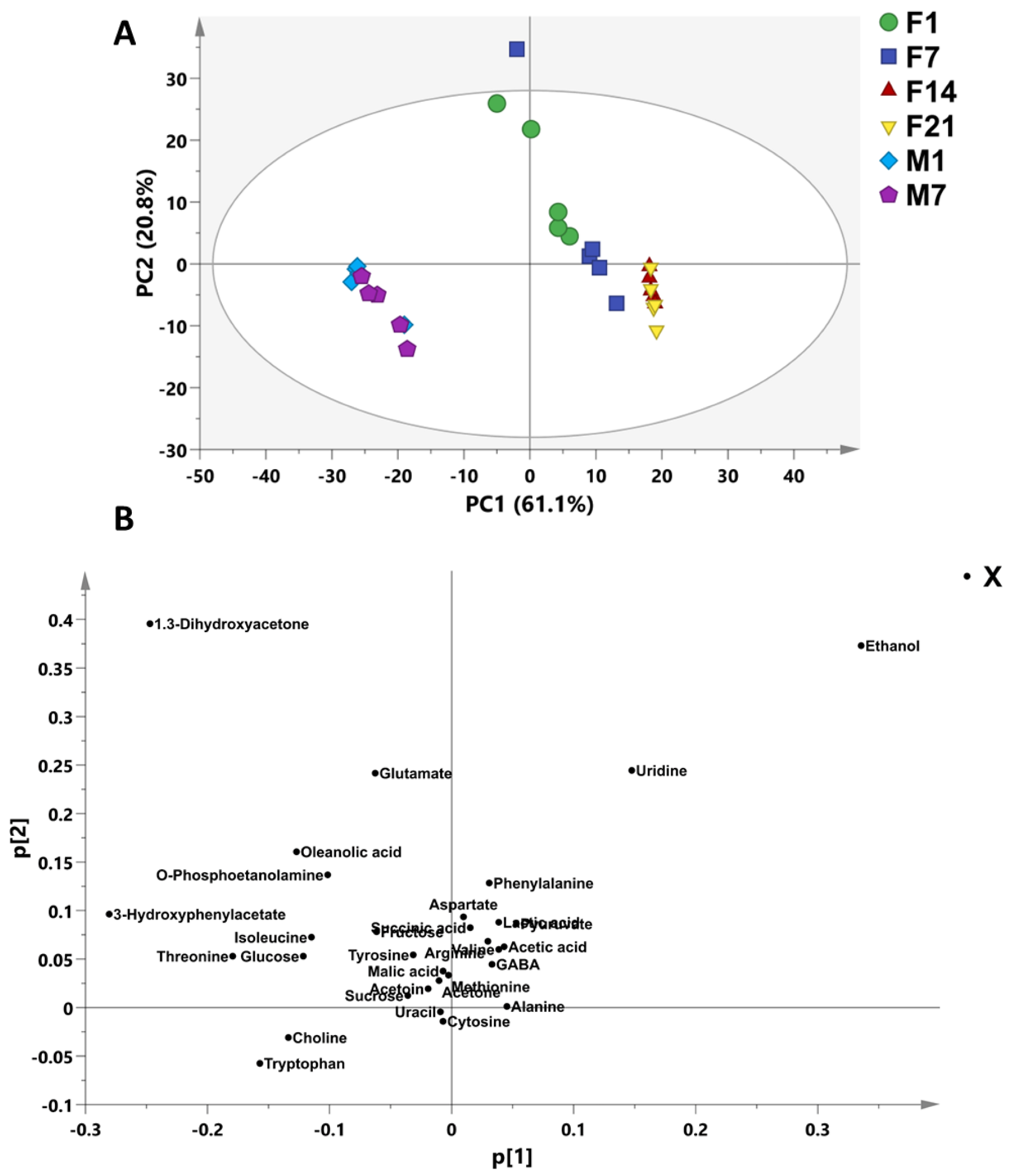 Foods 12 01971 g002 Foods 12 01971 g002