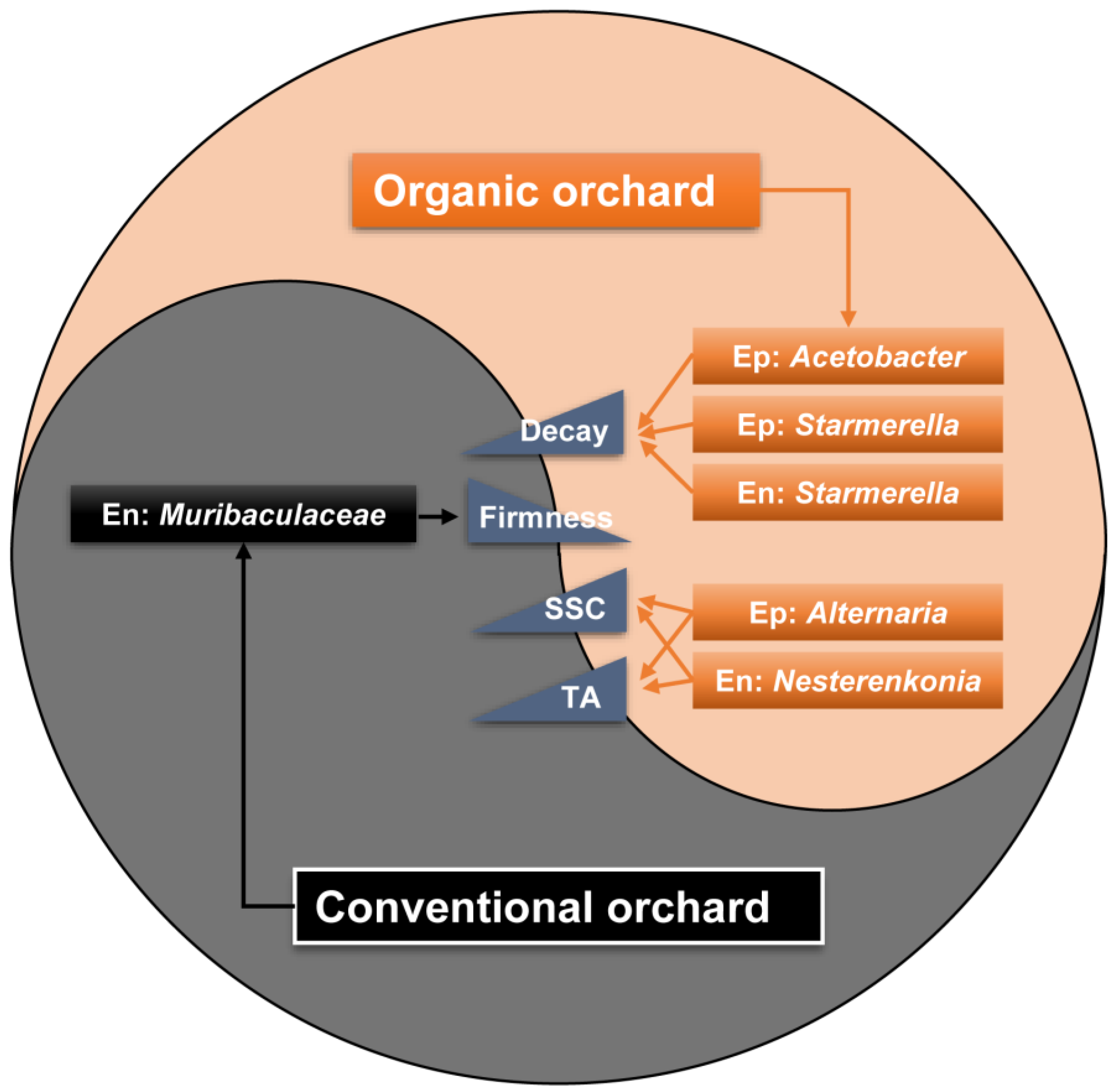 Foods 12 01980 g008 Foods 12 01980 g008