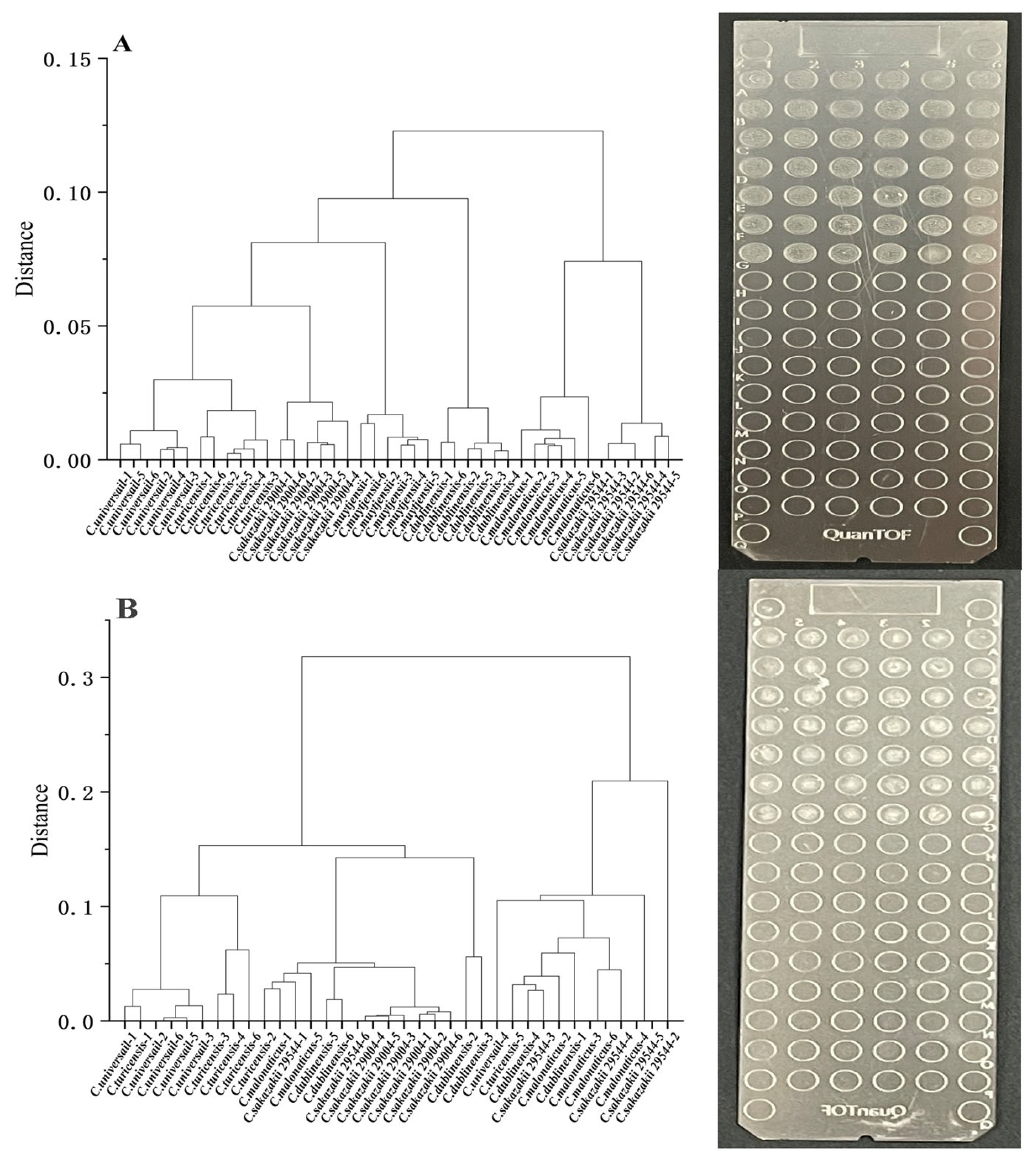 Foods 12 01981 g004 Foods 12 01981 g004
