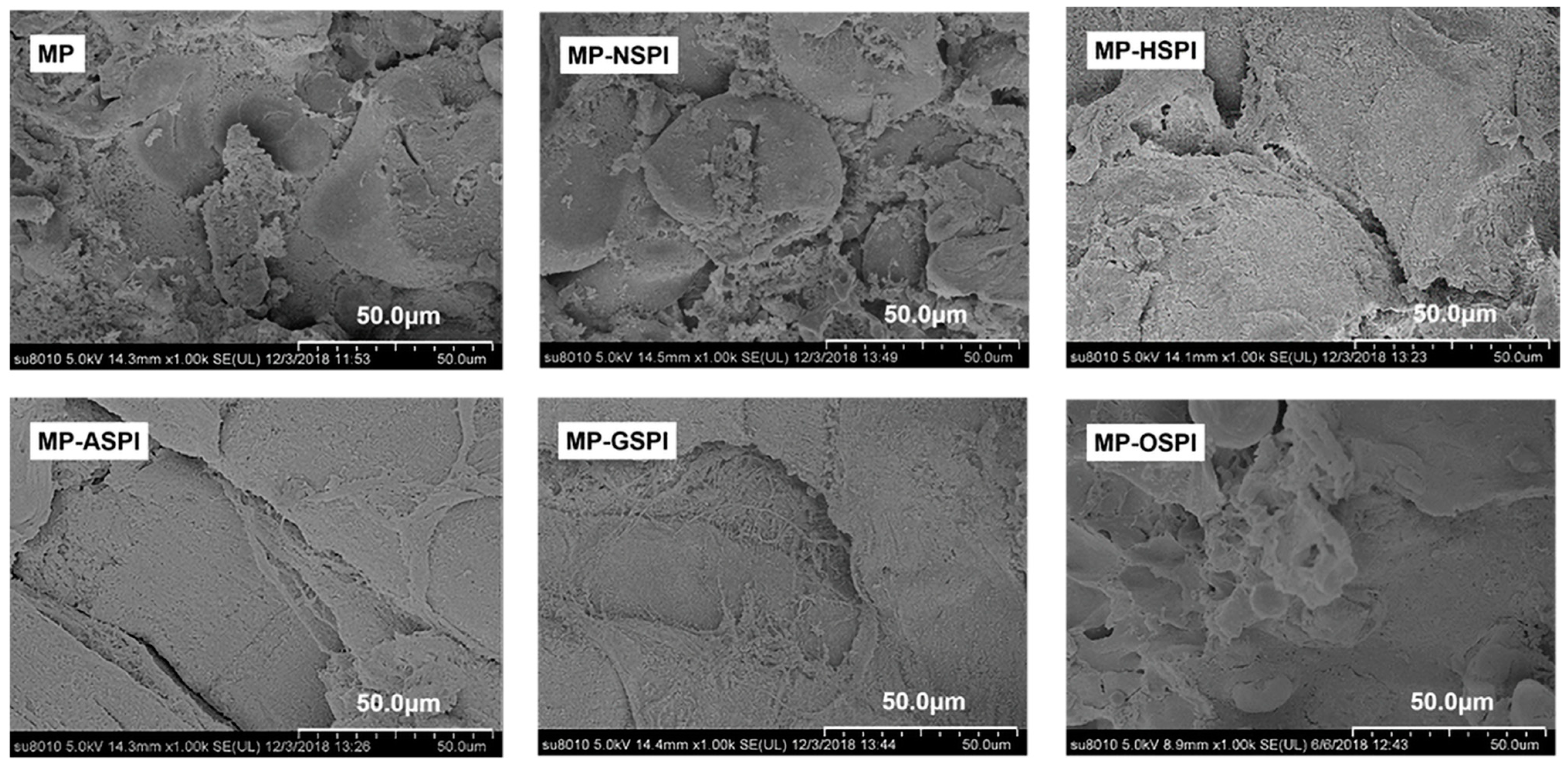 Foods 12 01982 g012 Foods 12 01982 g012