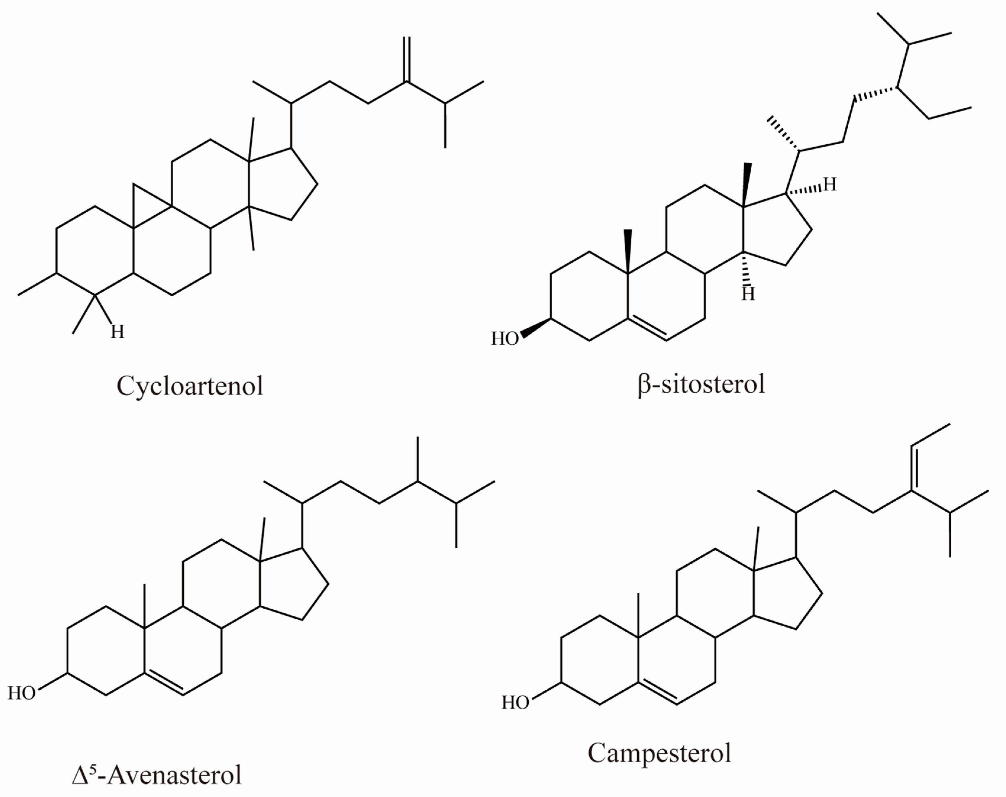Foods 12 01985 g005 Foods 12 01985 g005