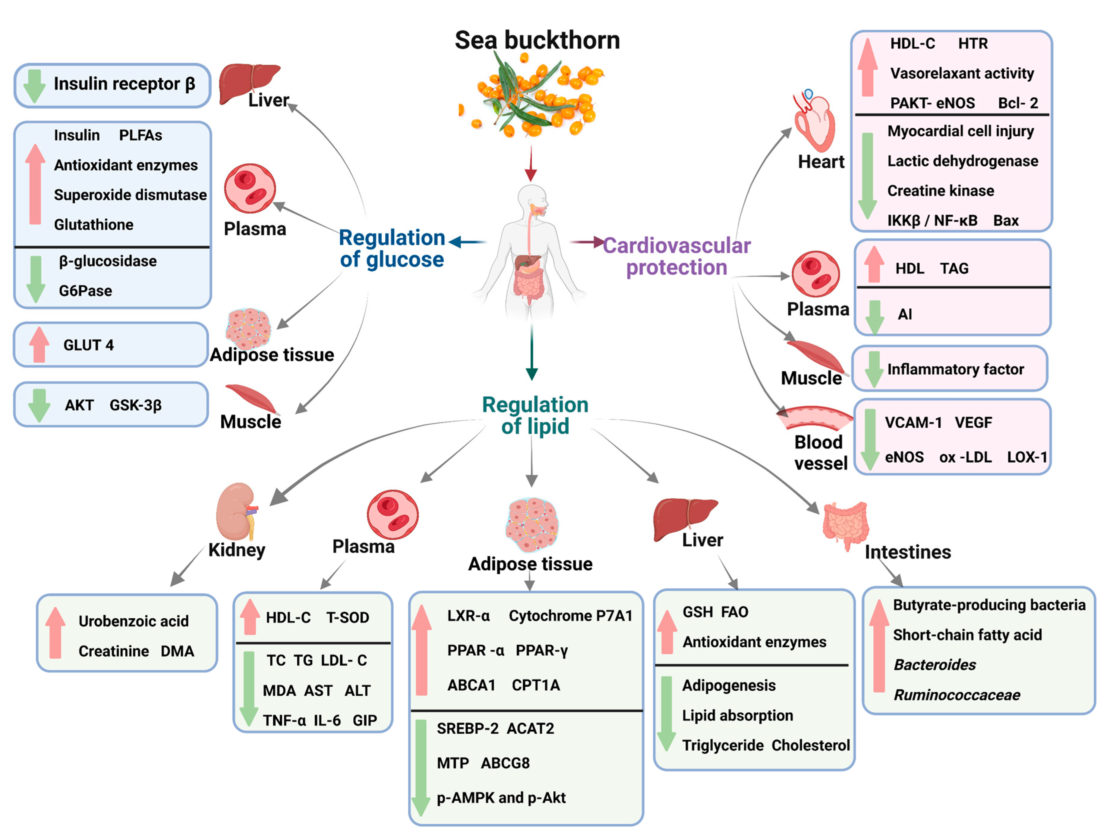 Foods 12 01985 g006 Foods 12 01985 g006