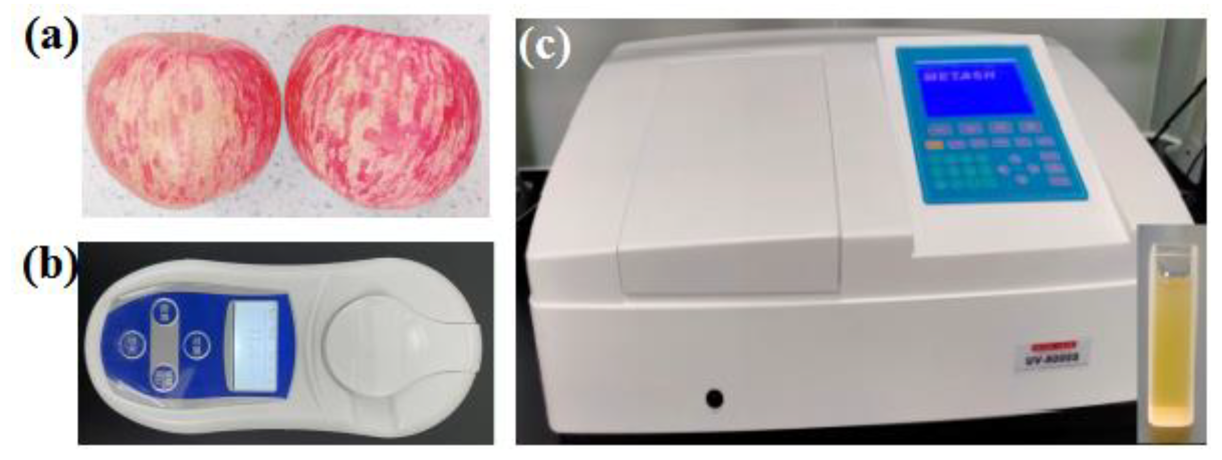 Foods 12 01991 g002 Foods 12 01991 g002
