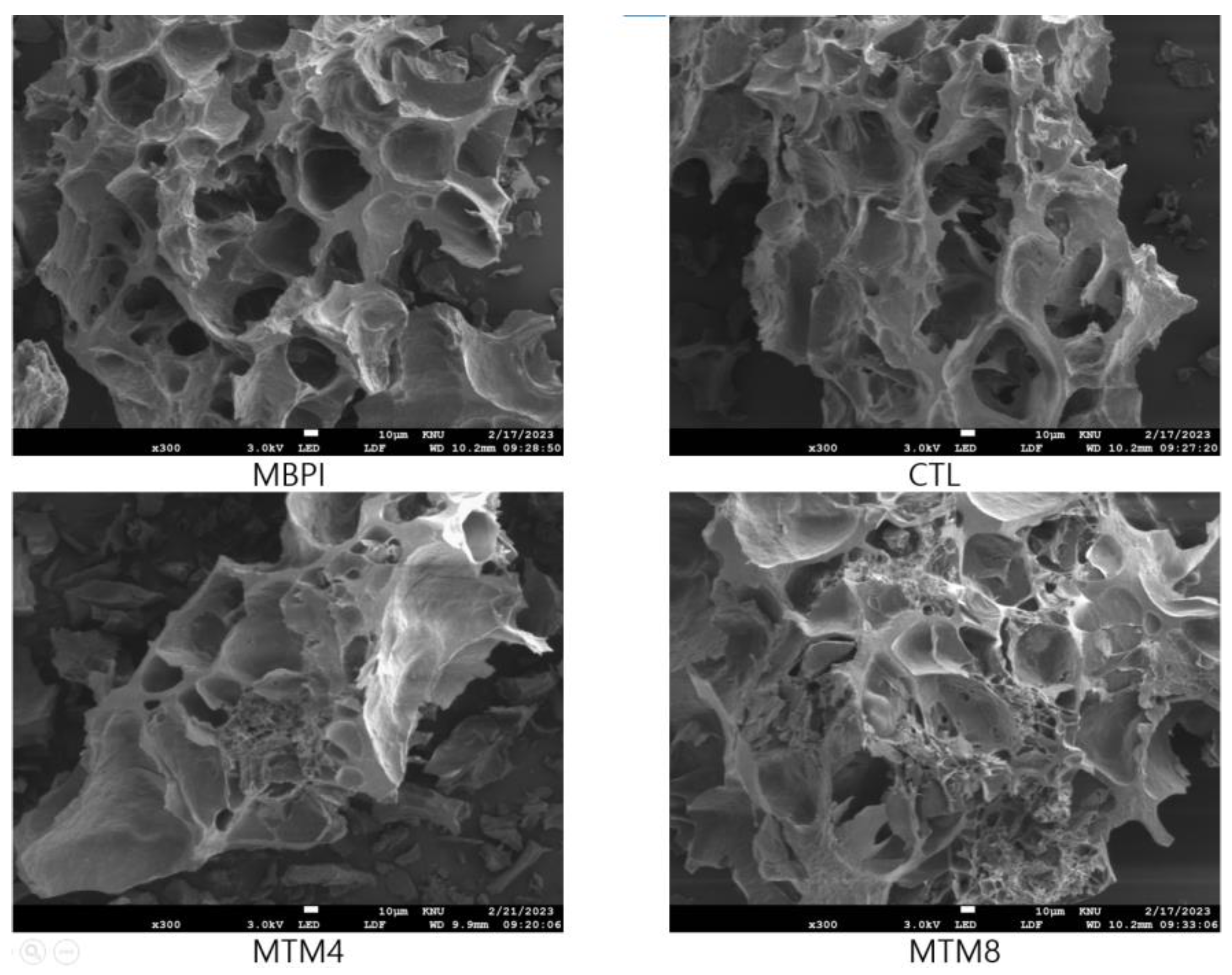 Foods 12 01998 g004 Foods 12 01998 g004