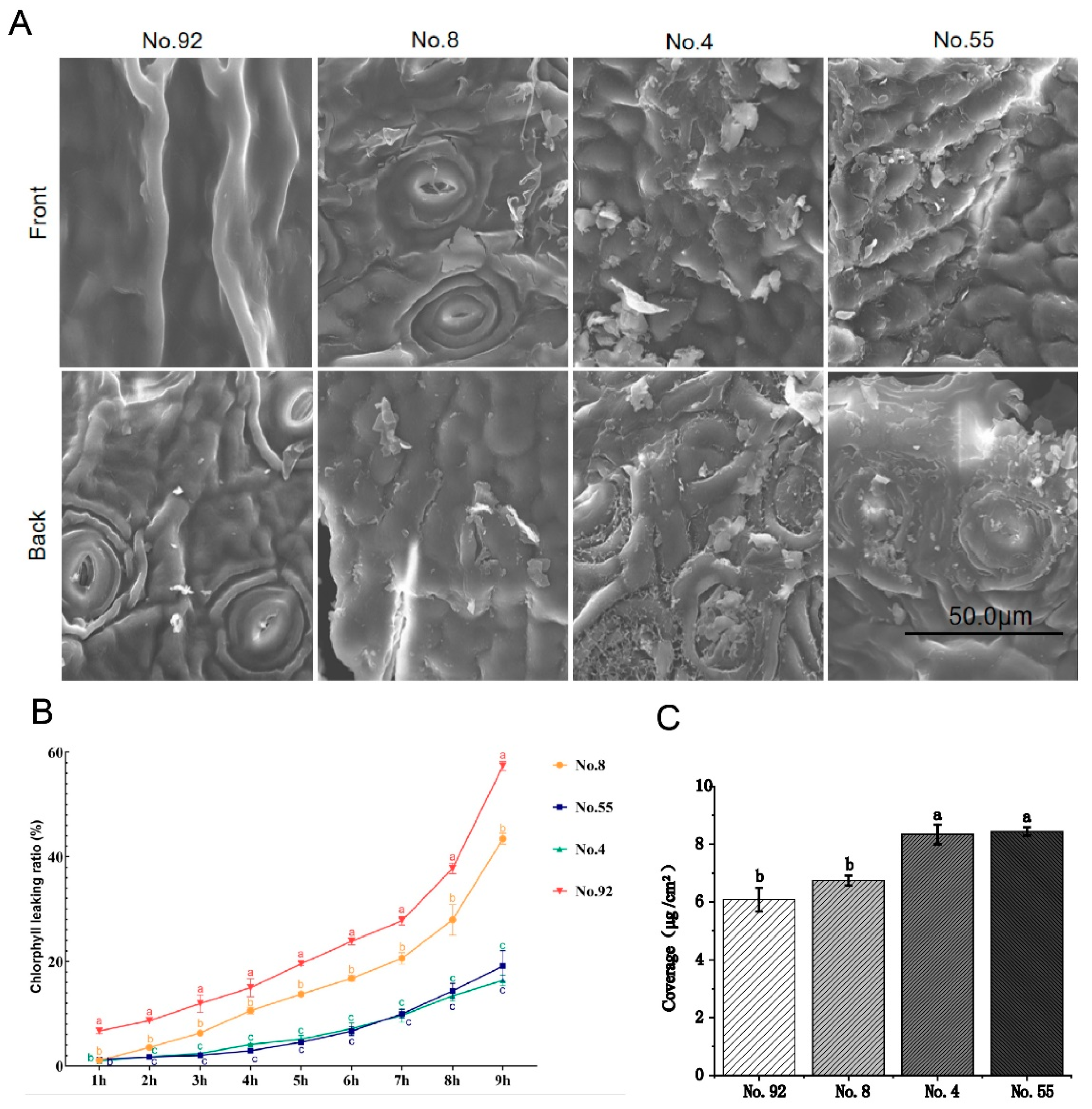 Foods 12 02011 g001 Foods 12 02011 g001