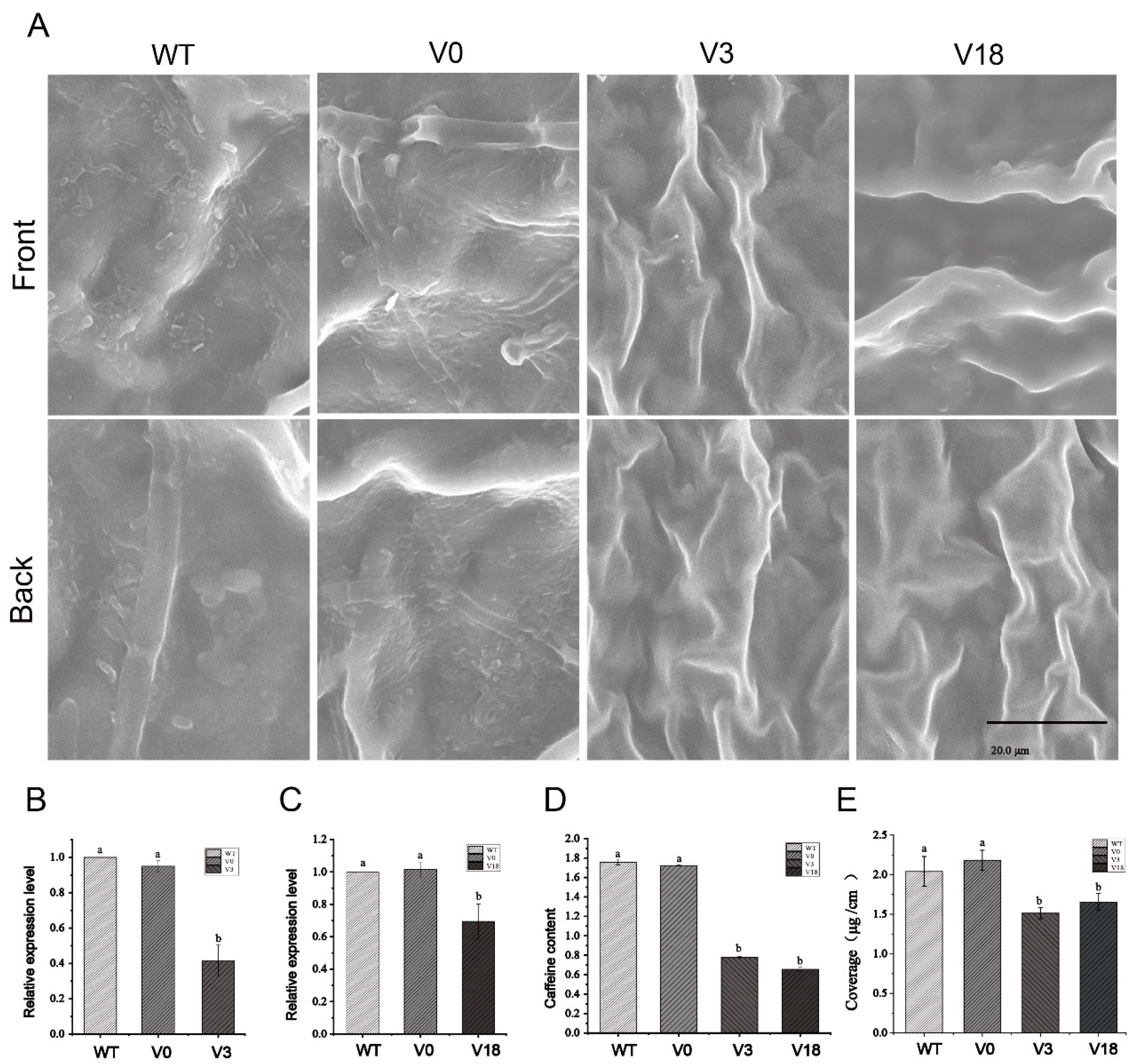 Foods 12 02011 g007 Foods 12 02011 g007