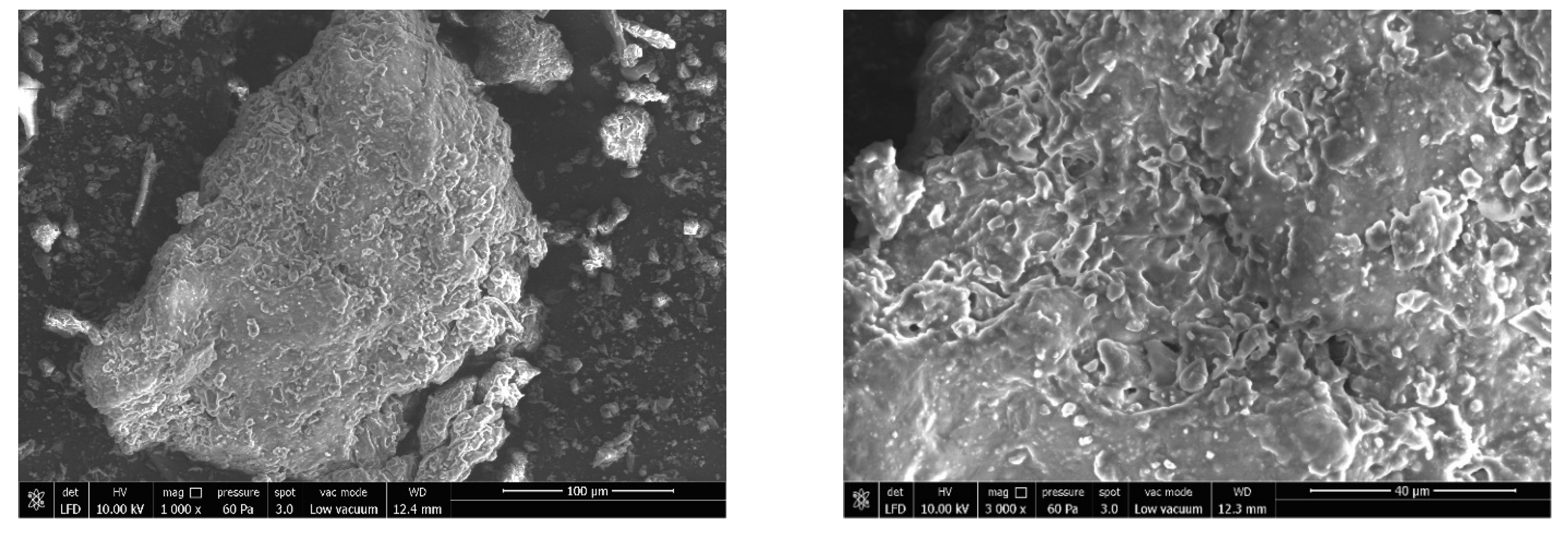 Foods 12 02018 g003a Foods 12 02018 g003a