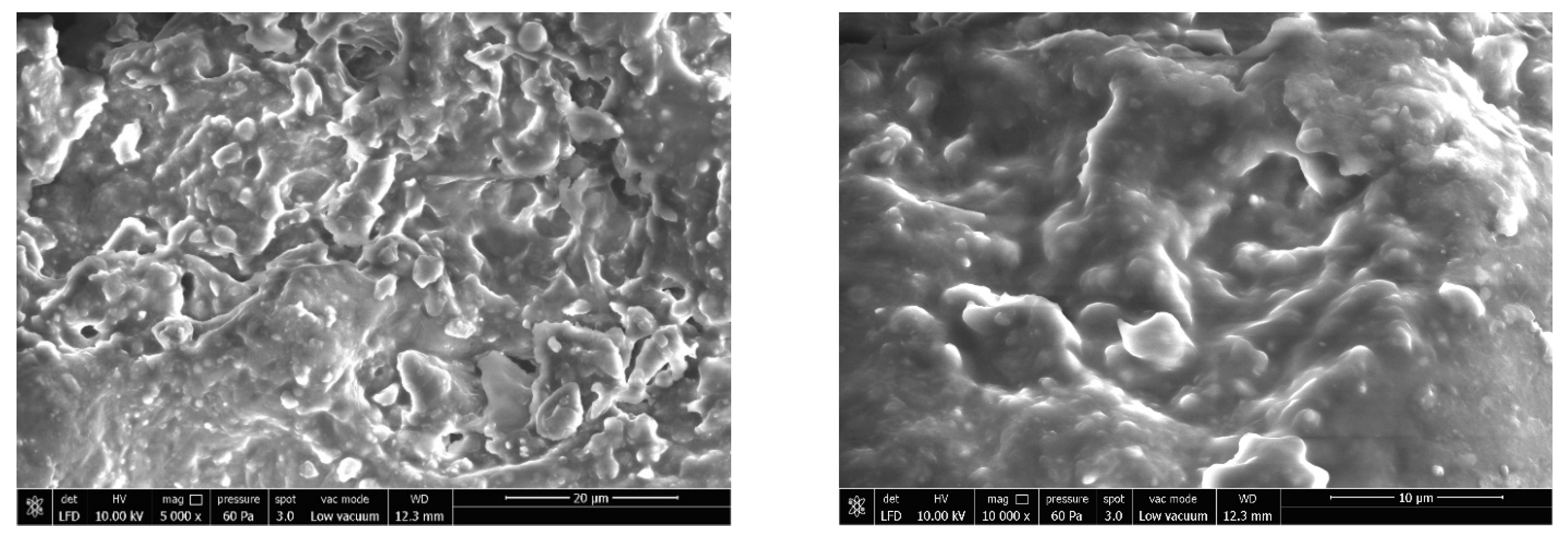 Foods 12 02018 g003b Foods 12 02018 g003b