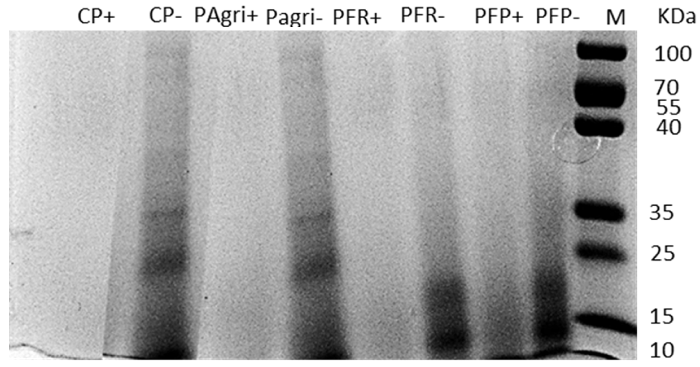 Foods 12 02027 g001 Foods 12 02027 g001