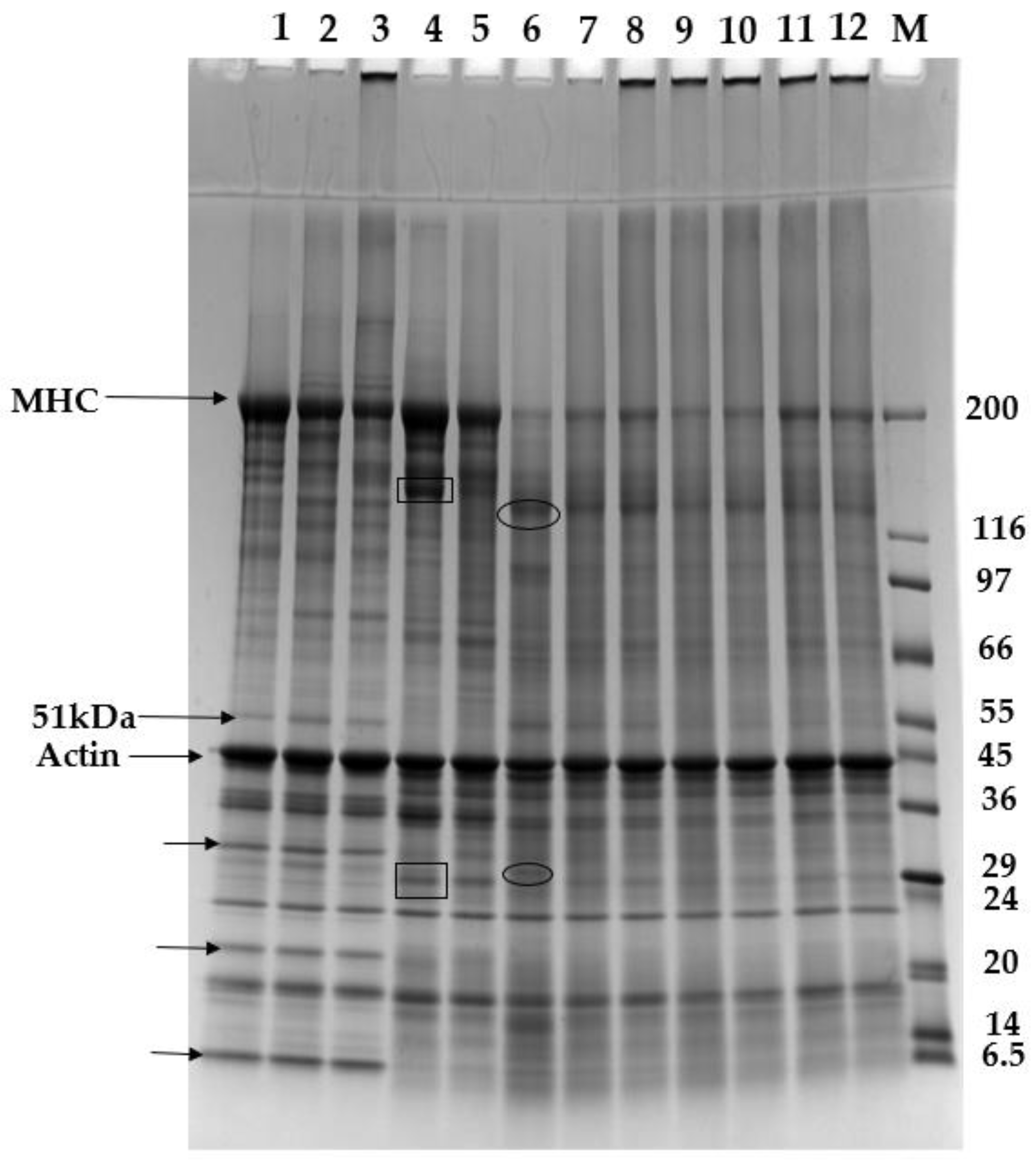 Foods 12 02029 g002 Foods 12 02029 g002
