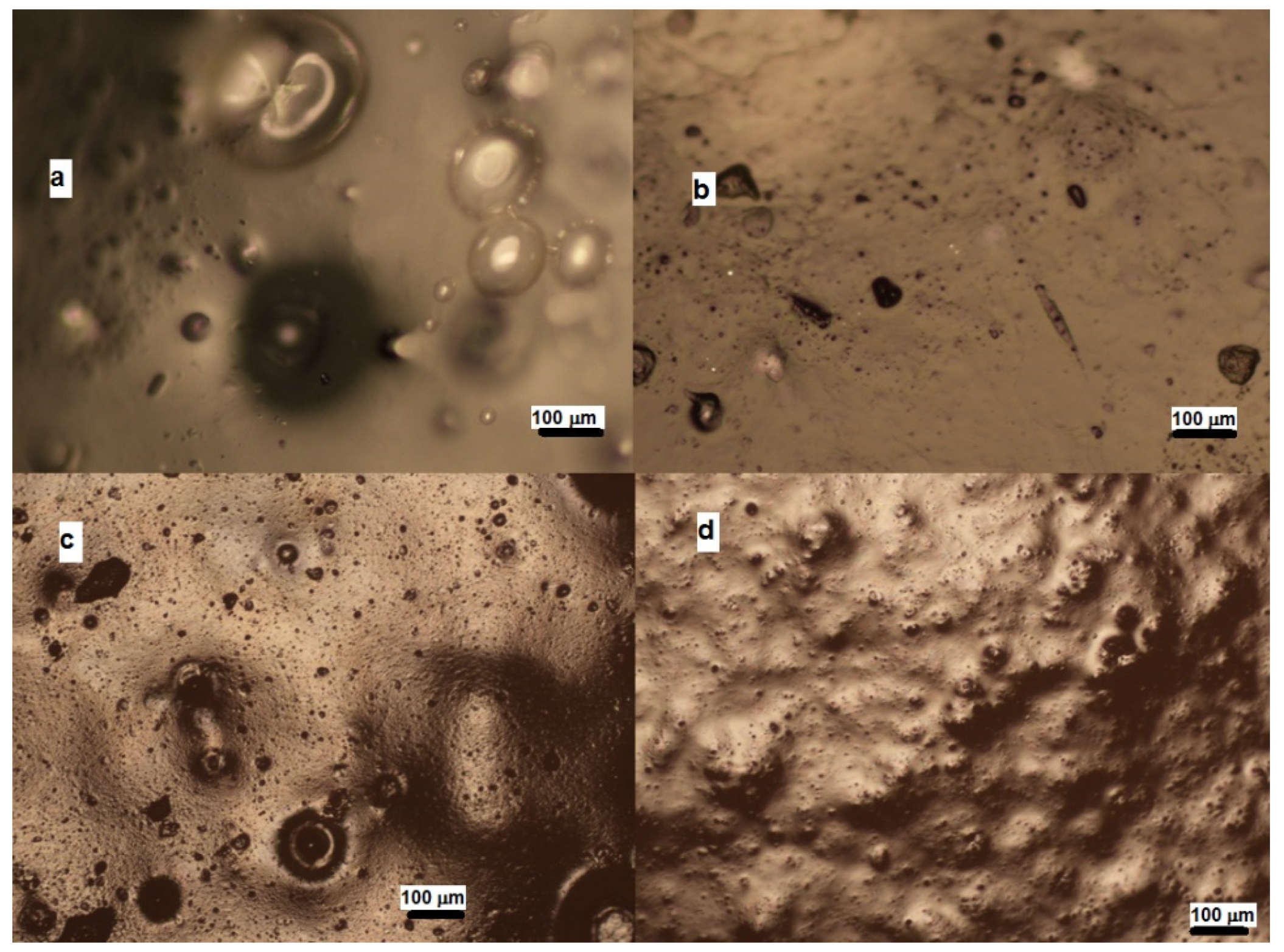 Foods 12 02030 g007 Foods 12 02030 g007