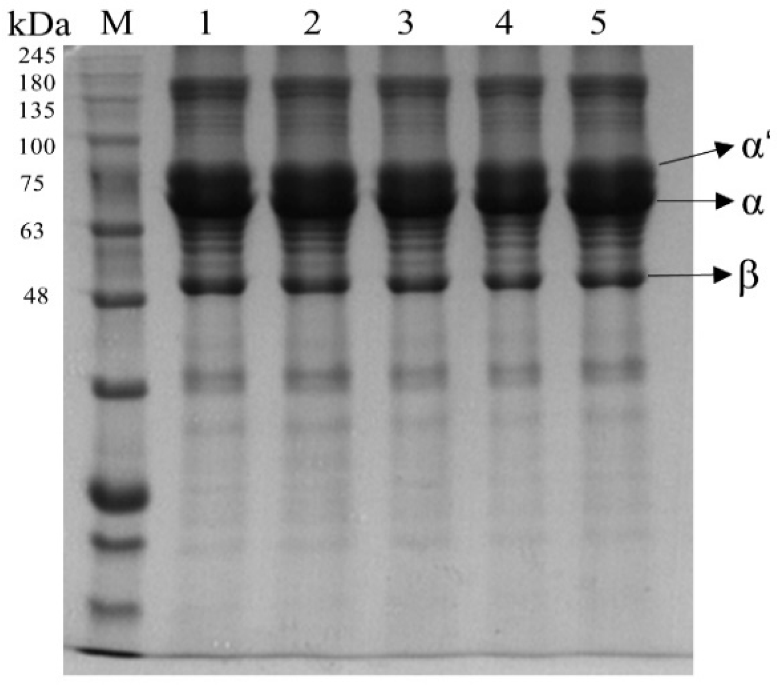 Foods 12 02037 g002 Foods 12 02037 g002