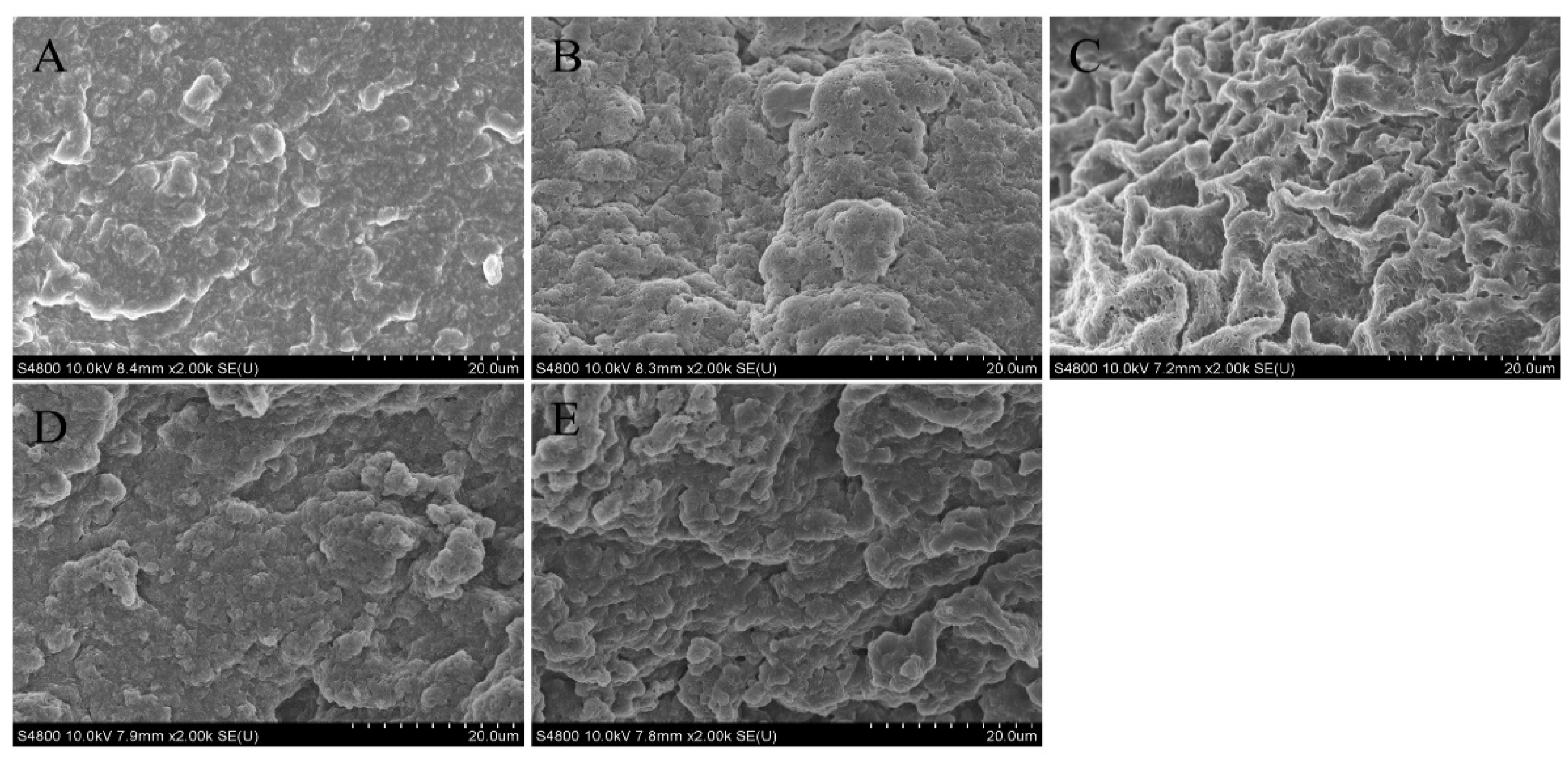 Foods 12 02037 g005 Foods 12 02037 g005
